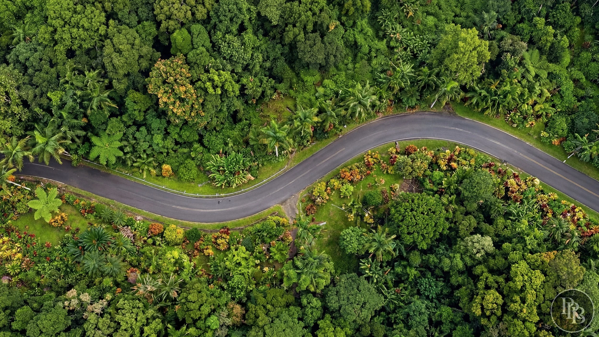 Arecibo 50 acres PRB LOGO #24.jpg