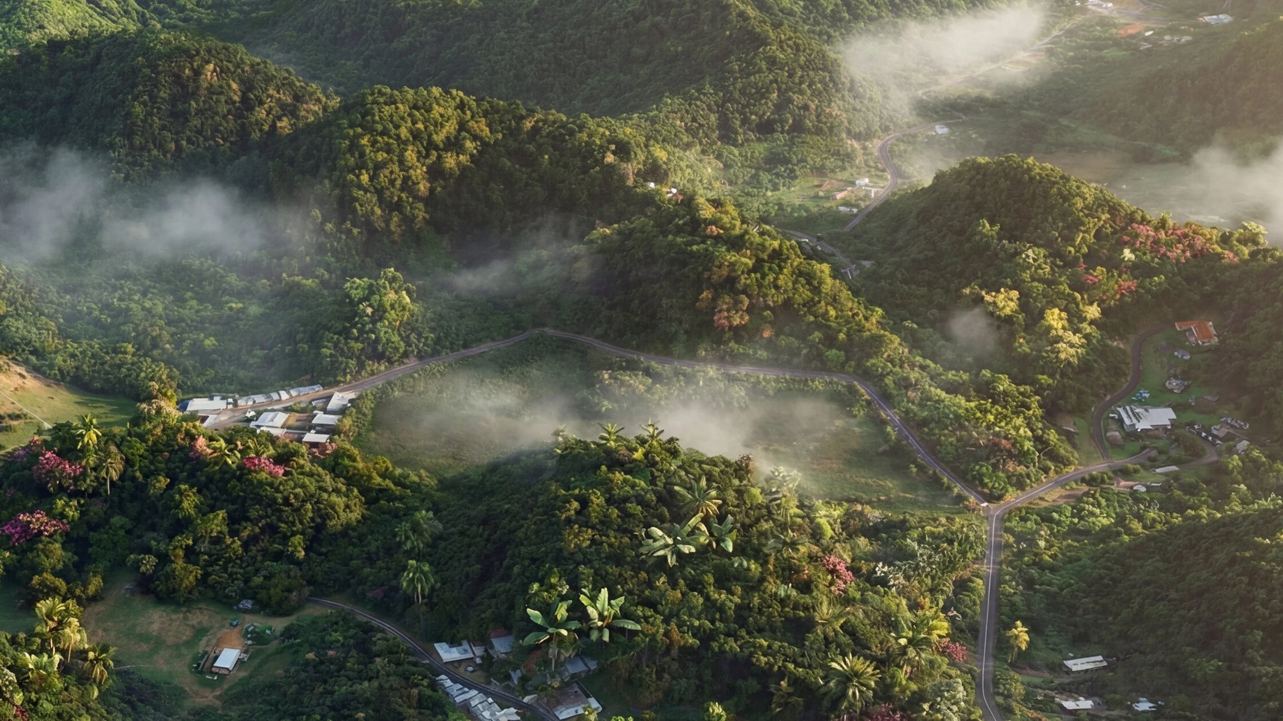 Arecibo 50 acres PRB LOGO #33.jpg