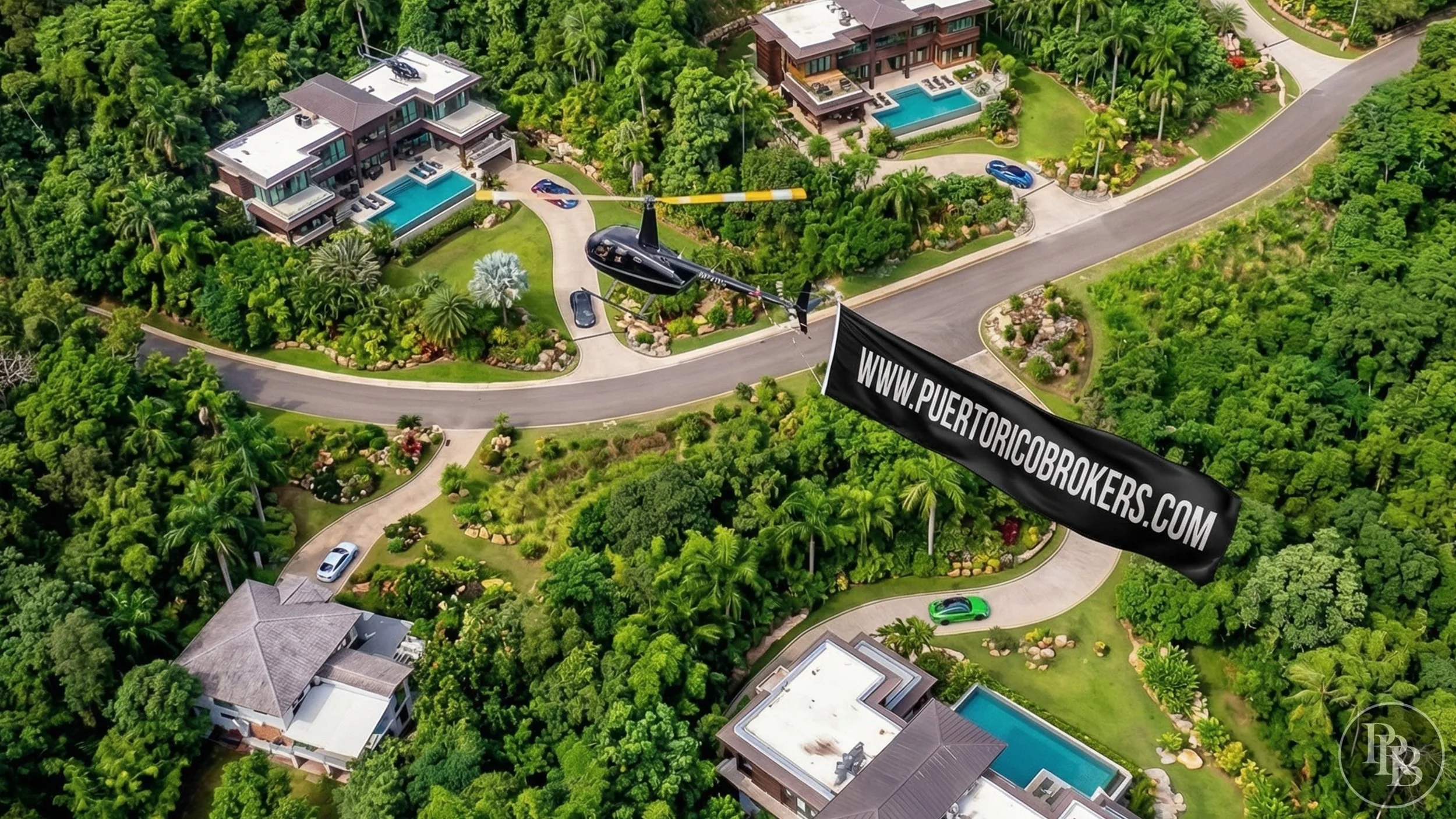 Arecibo 50 acres PRB LOGO #13.jpg