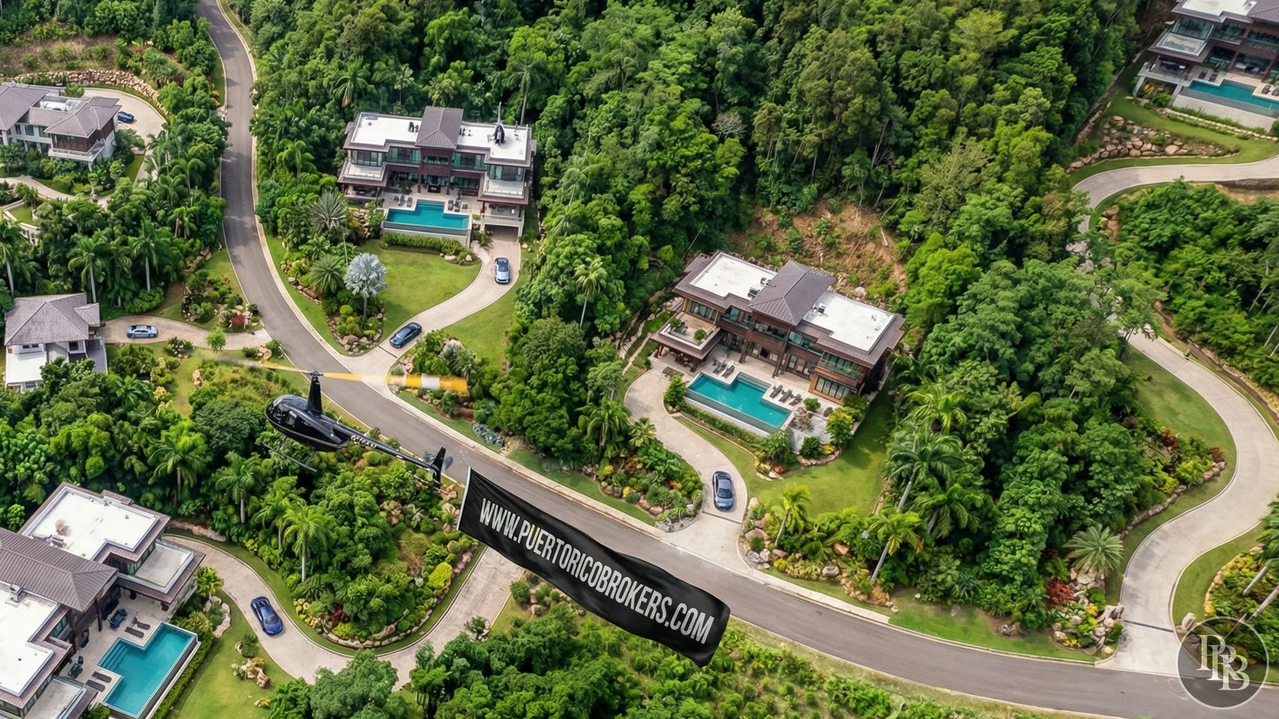 Arecibo 50 acres PRB LOGO #14.jpg