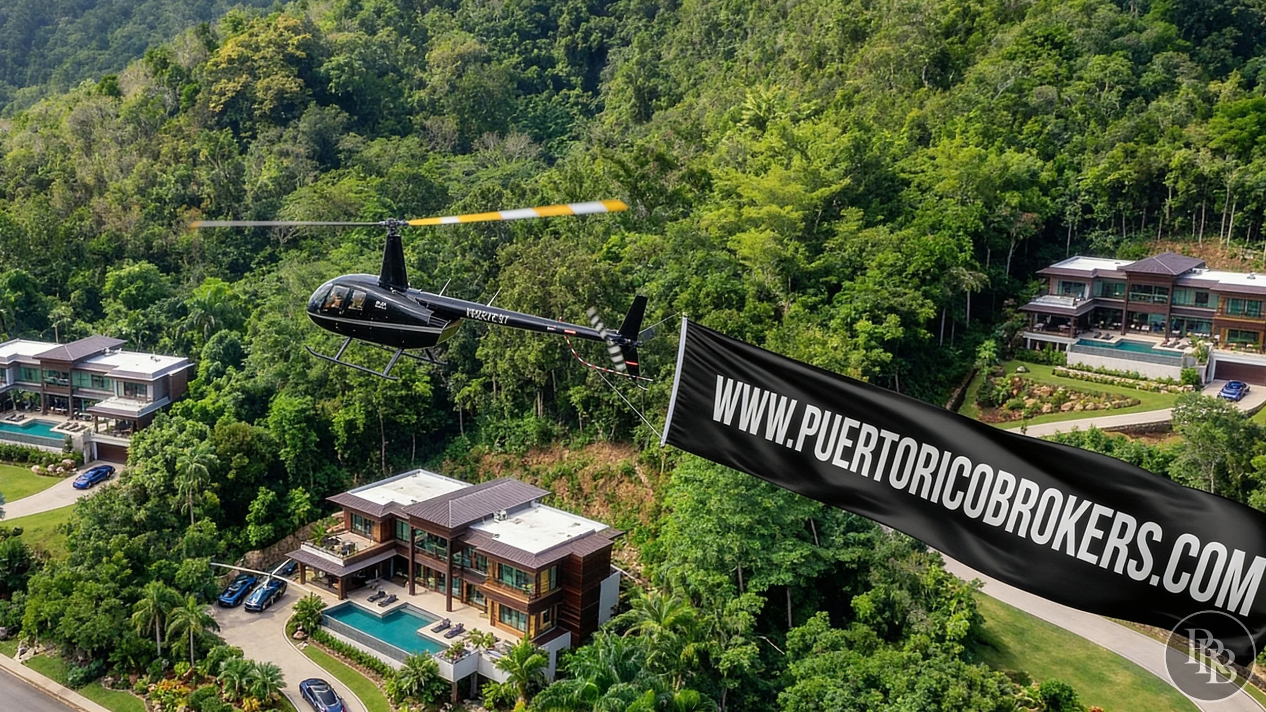 Arecibo 50 acres PRB LOGO #15.jpg