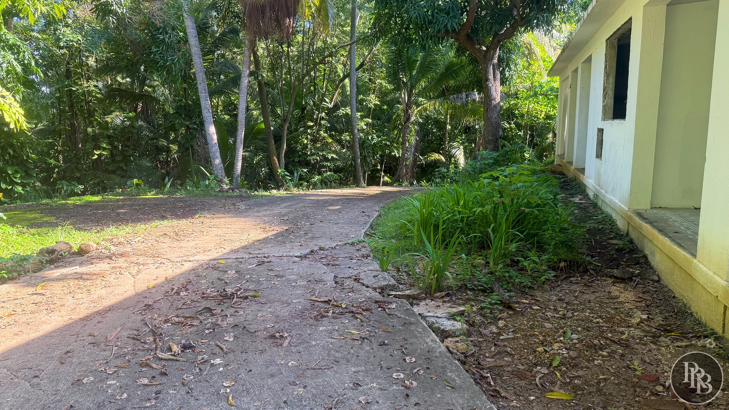 Carolina Lot 2.57 ACRES Simon maderas PRB logo #26.jpg