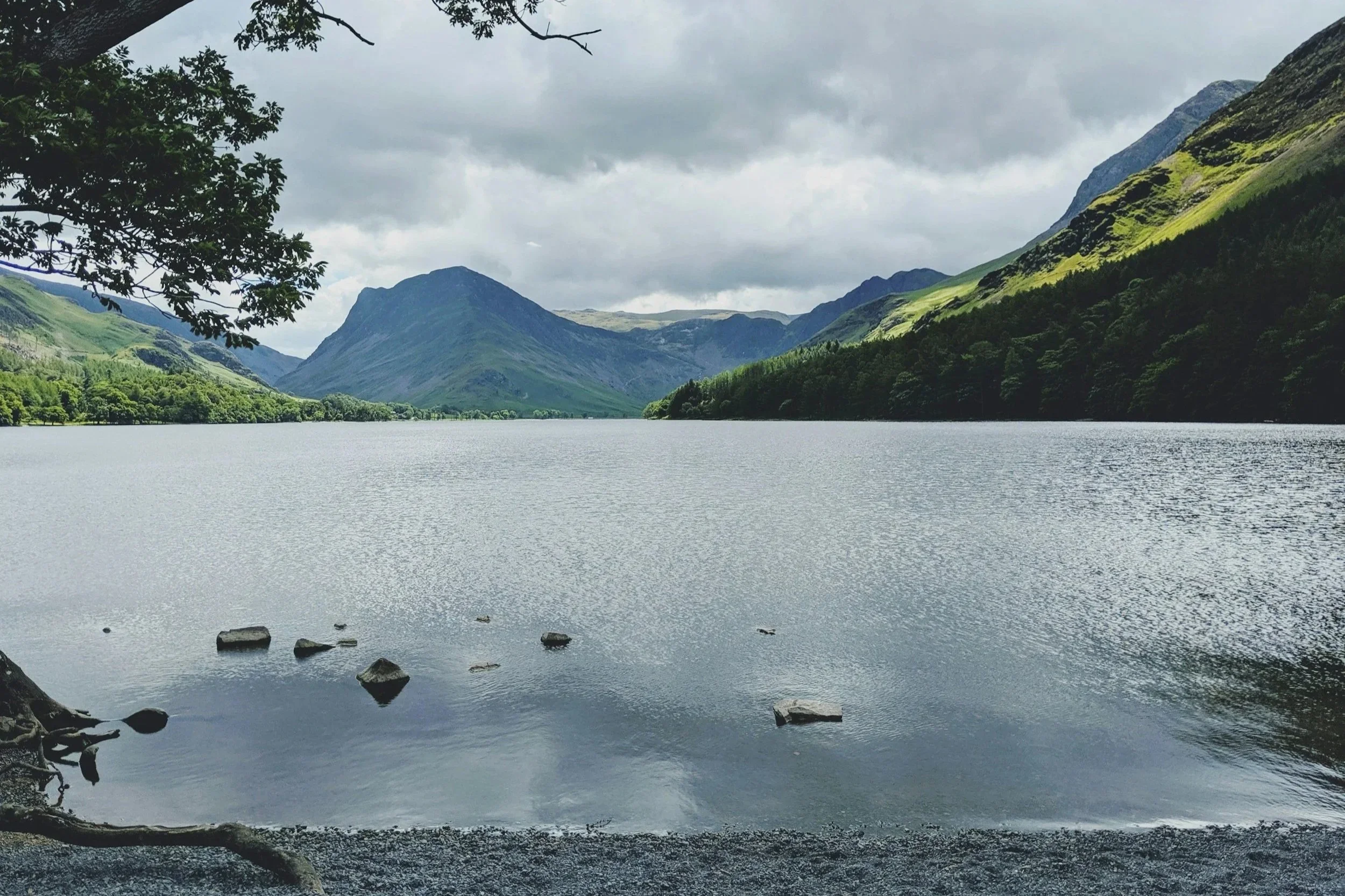 Learning and adapting in the Bay Anchor Network