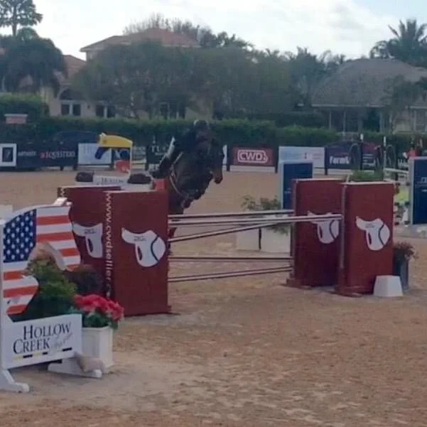 Show Jumping — KGK Equestrian