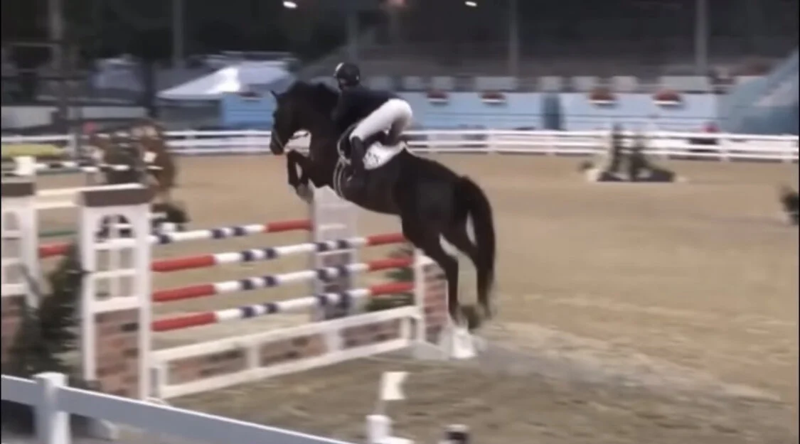 Show Jumping — KGK Equestrian
