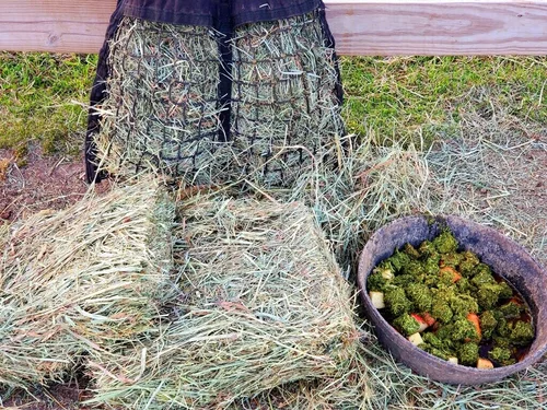 Choya Farms Inc., business photo 5