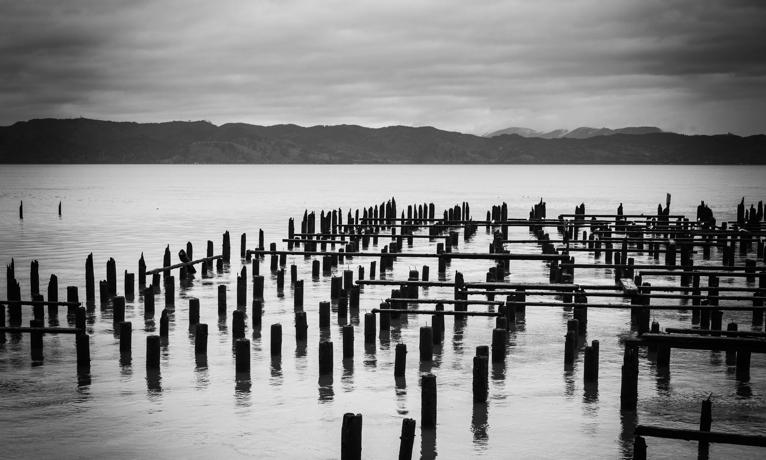 Ex Dock - Still life