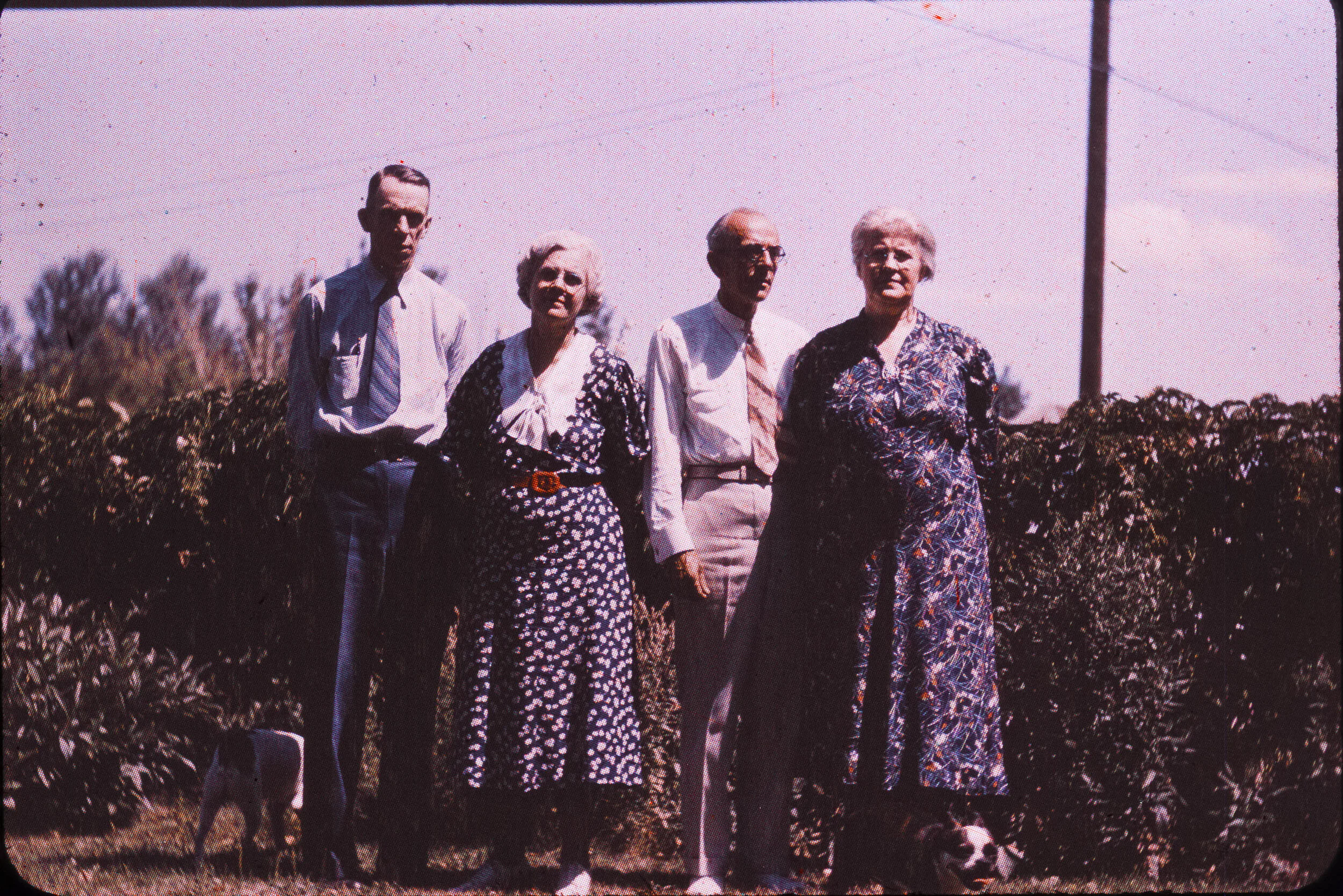 Pictures of the past