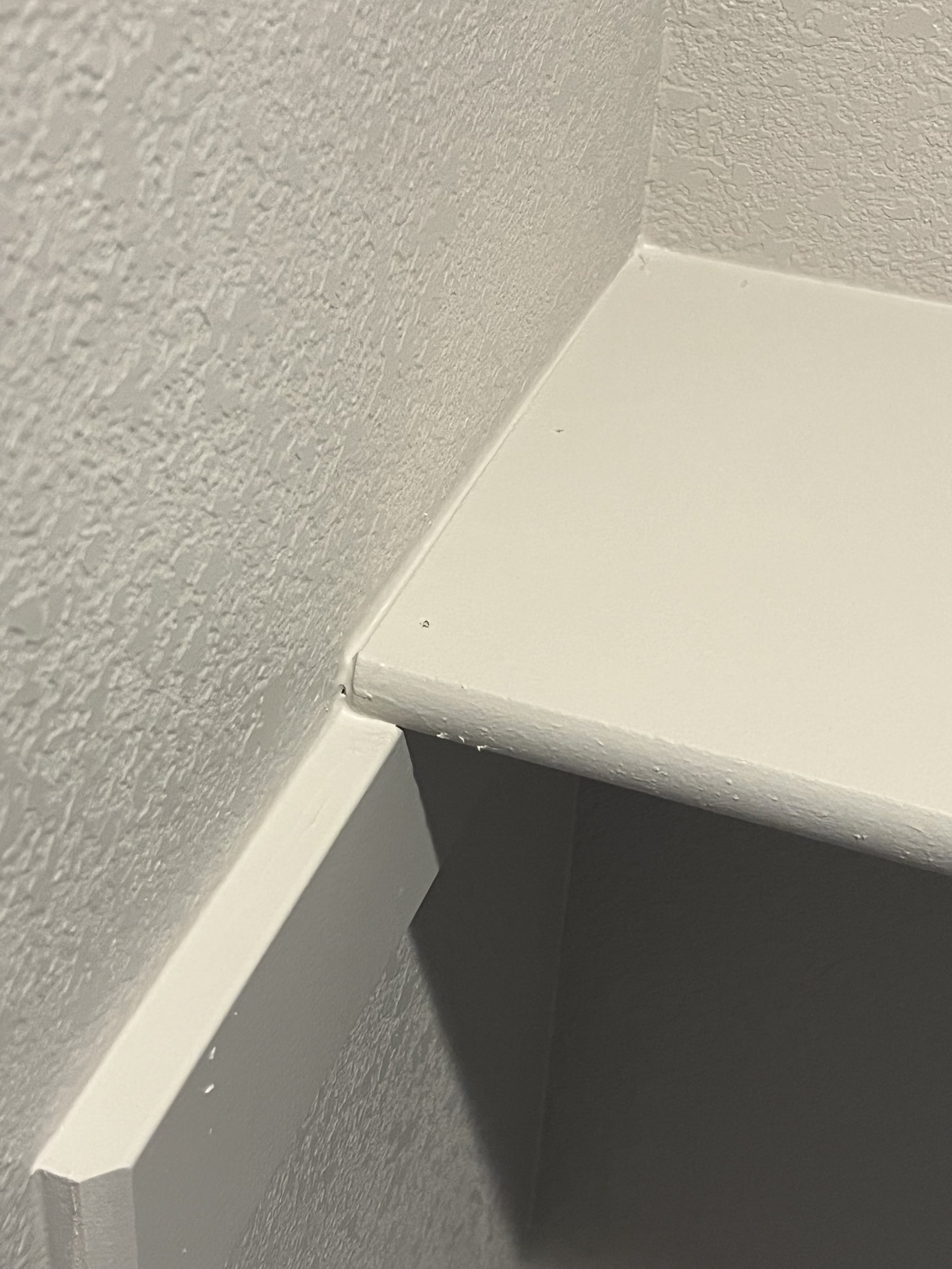 Shelf supports visible