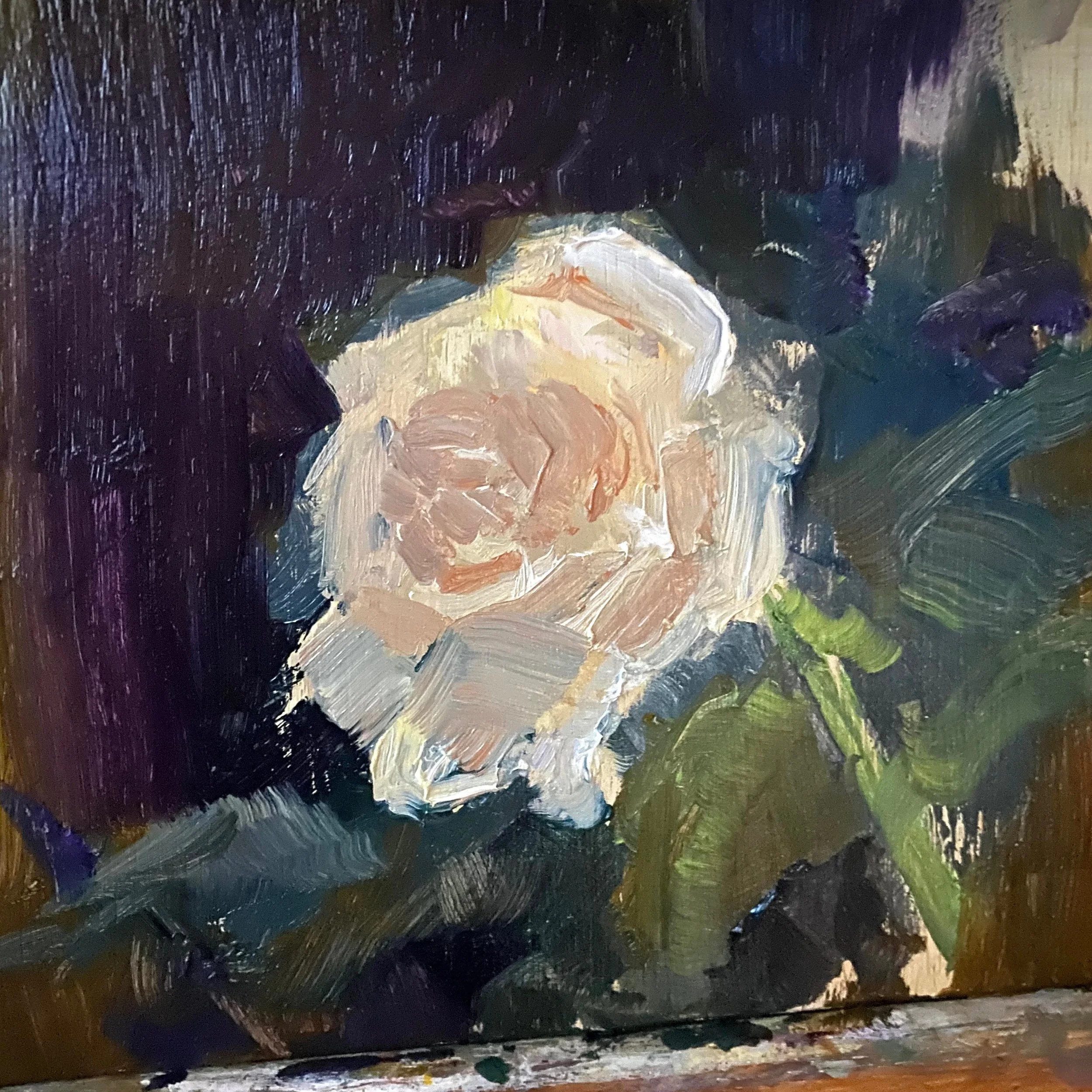 Just a creamy rose