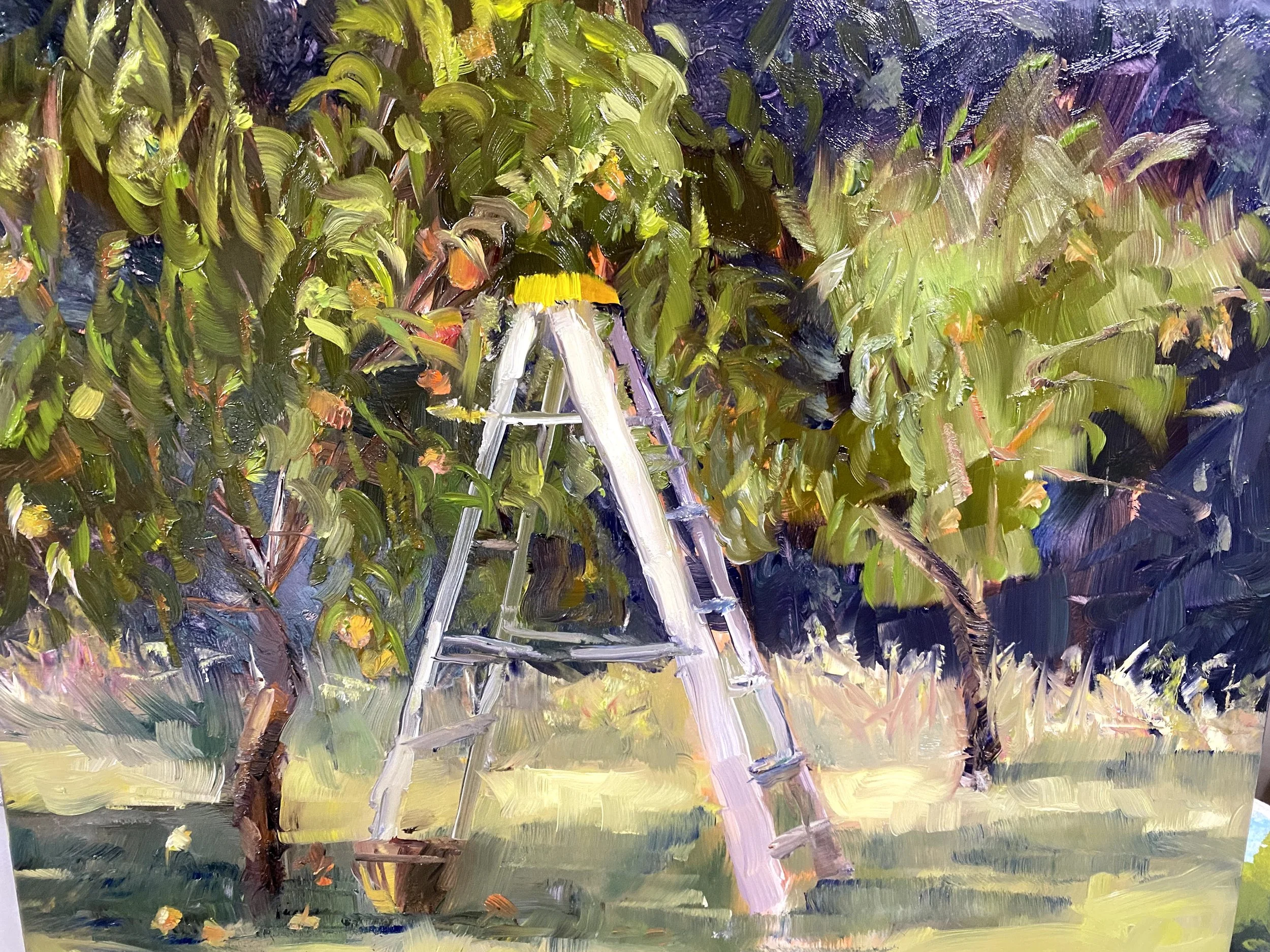 Peach Harvest - Plein Air