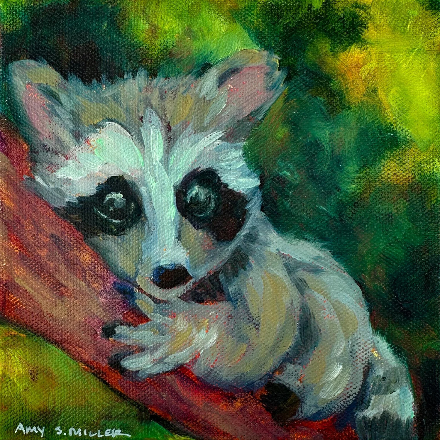 Raccoon Painting