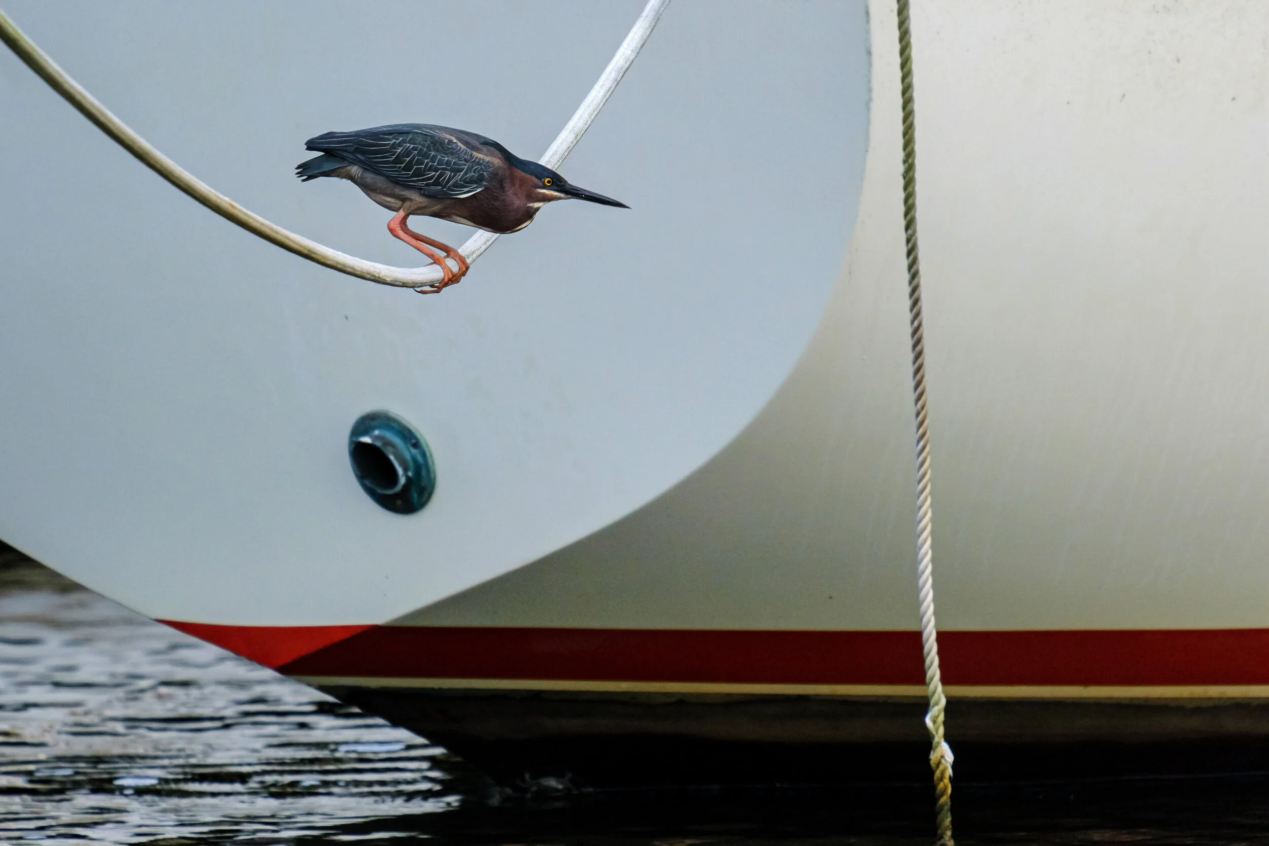 167 pensacola inshore fishing.JPG