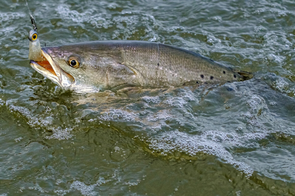 XT325820.JPG