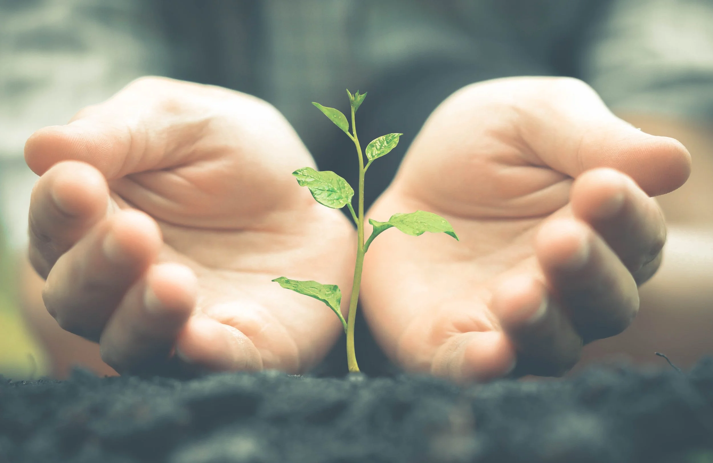 How I Work with Trauma and Nervous System Healing 