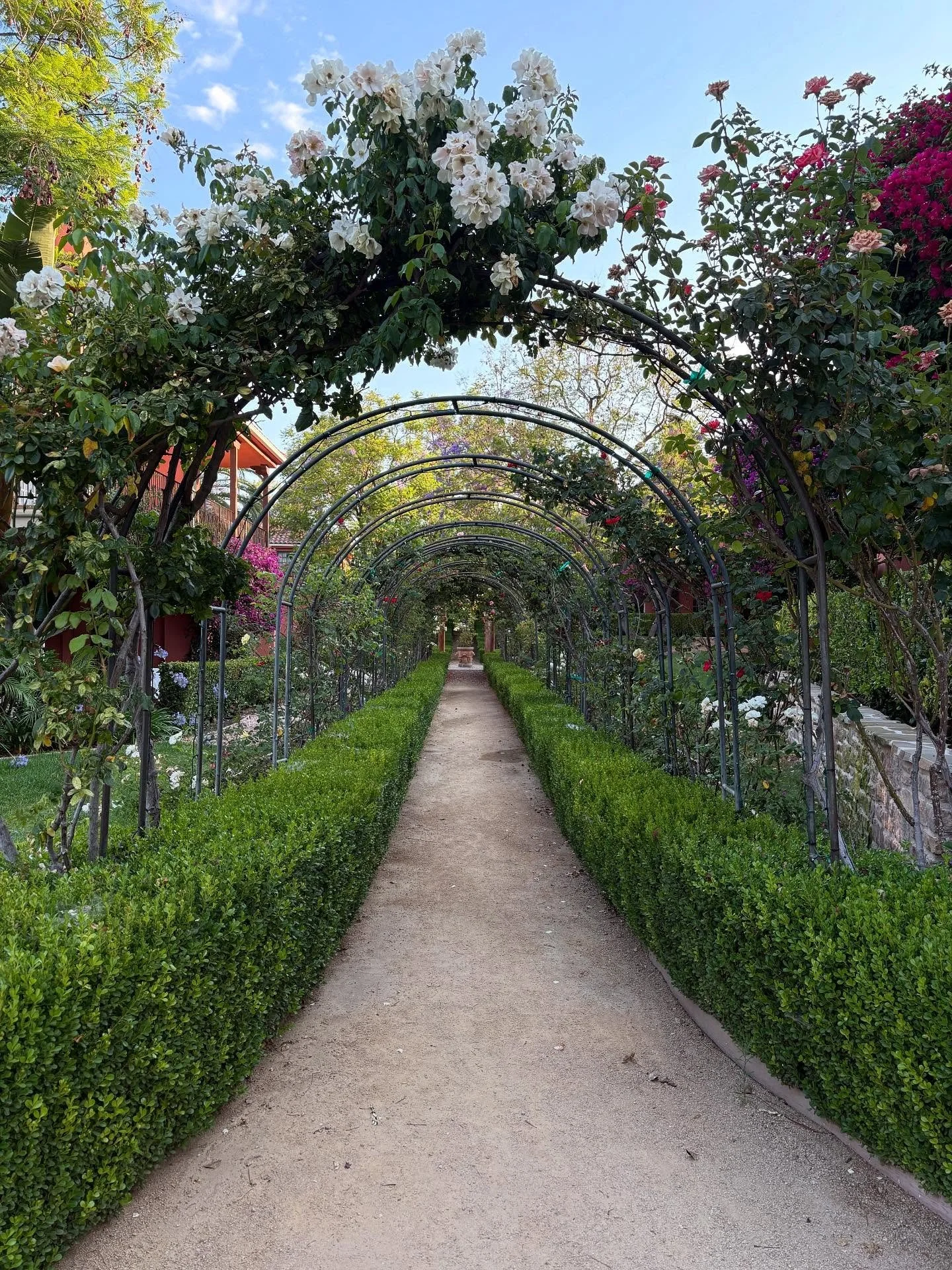 Gorgeous day @westlakevillageinn. Nature is a strong inspirational force! 

This is such a wonderful setting for my annual trip to LA for the Women in Travel &amp; Hospitality Conference through the efforts of @tiewn_network. Kudos to all the talente