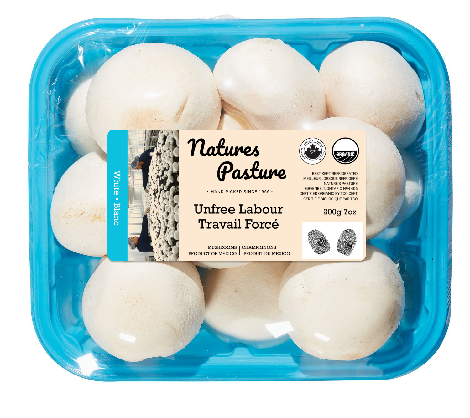 VernacularReality_MushroomPack.png