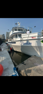 Yacht Freedom