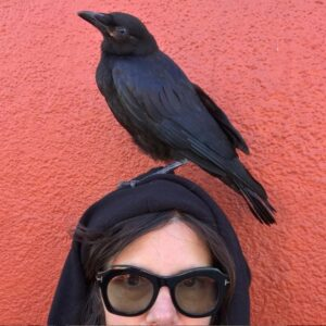 The Crow Whisperer with Yvette Buigues