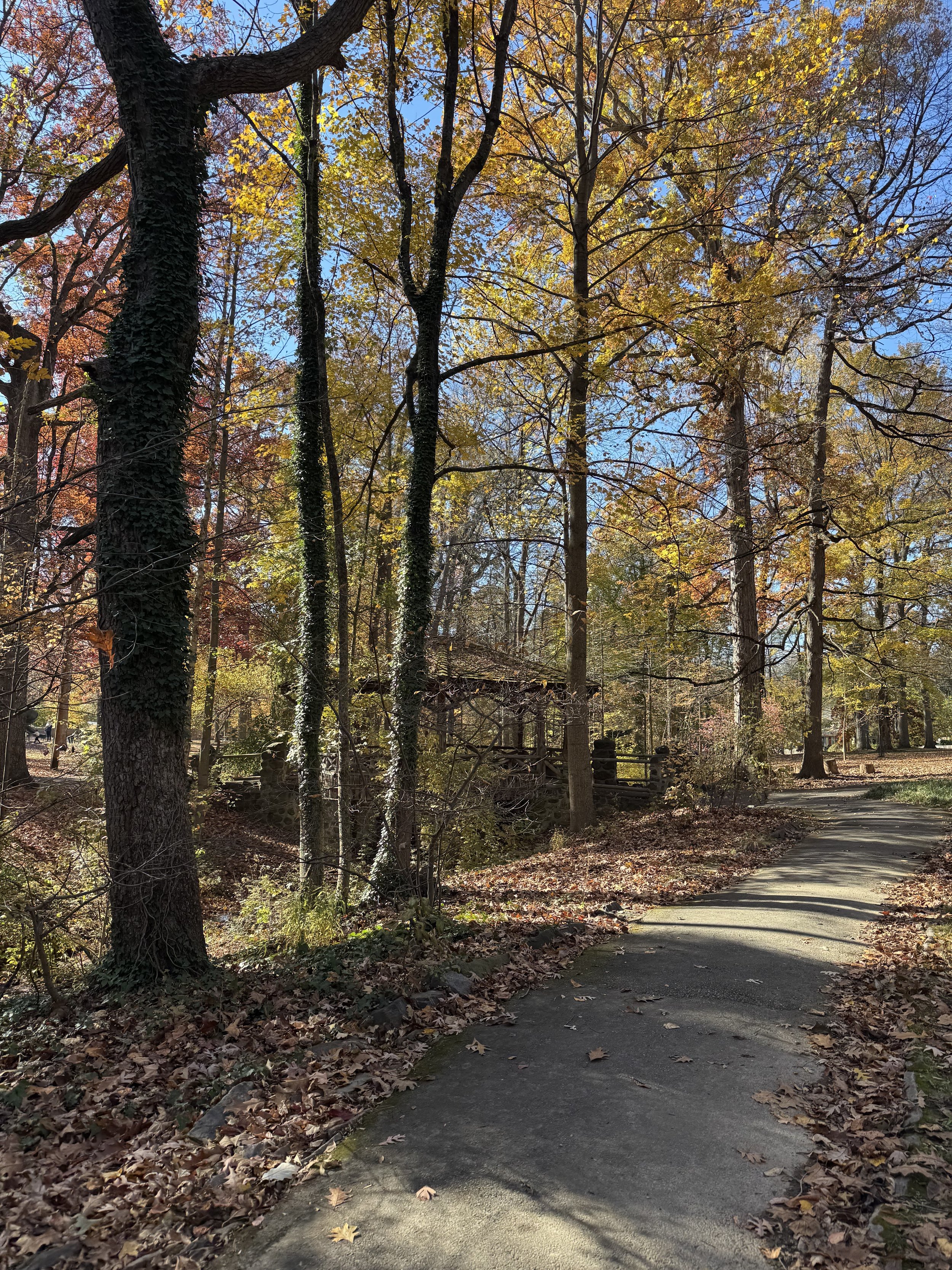 West Chester Borough Real Estate Market Keeps Its Edge through the Fall🍂🏡