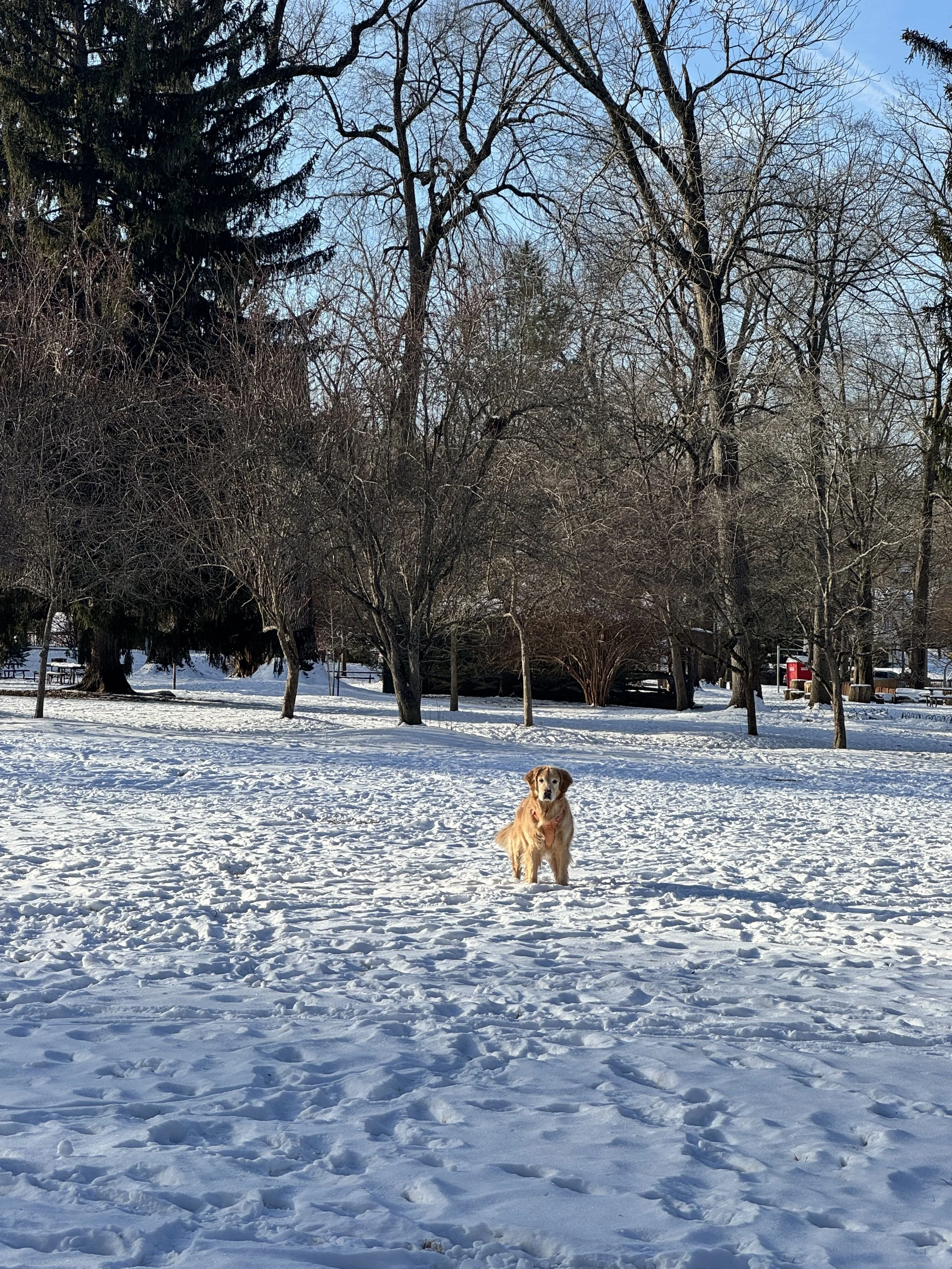 A Historically Quiet January in West Chester Borough Real Estate