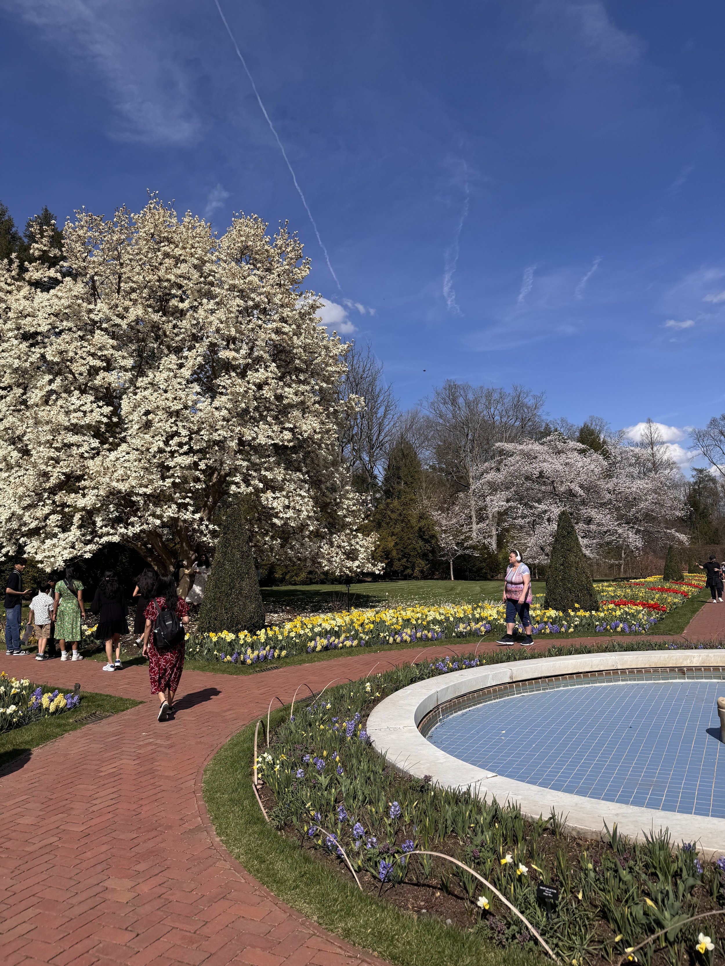 Downingtown Real Estate Market - March 2026