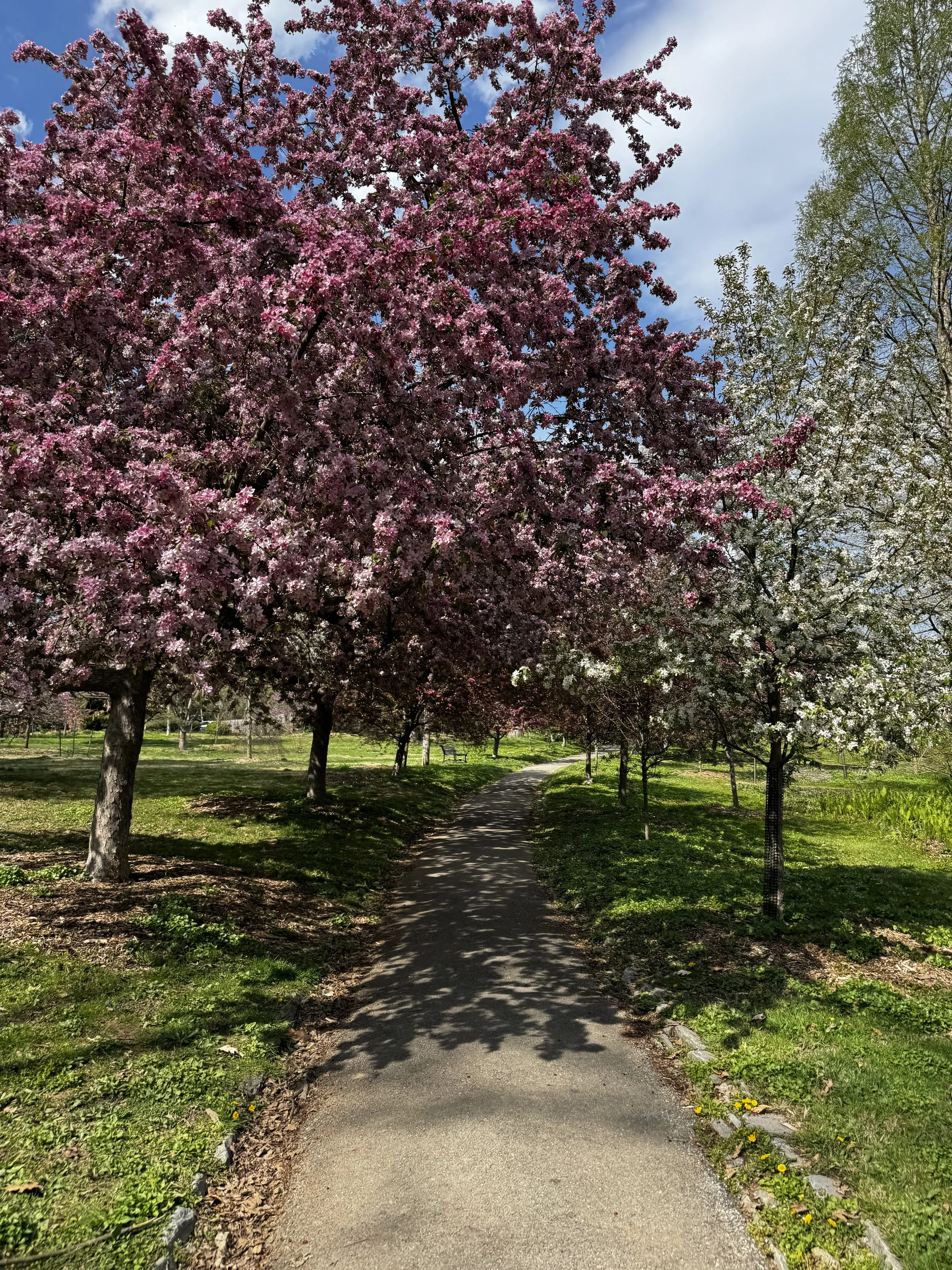 April brought a red-hot West Chester Area School District Real Estate Market