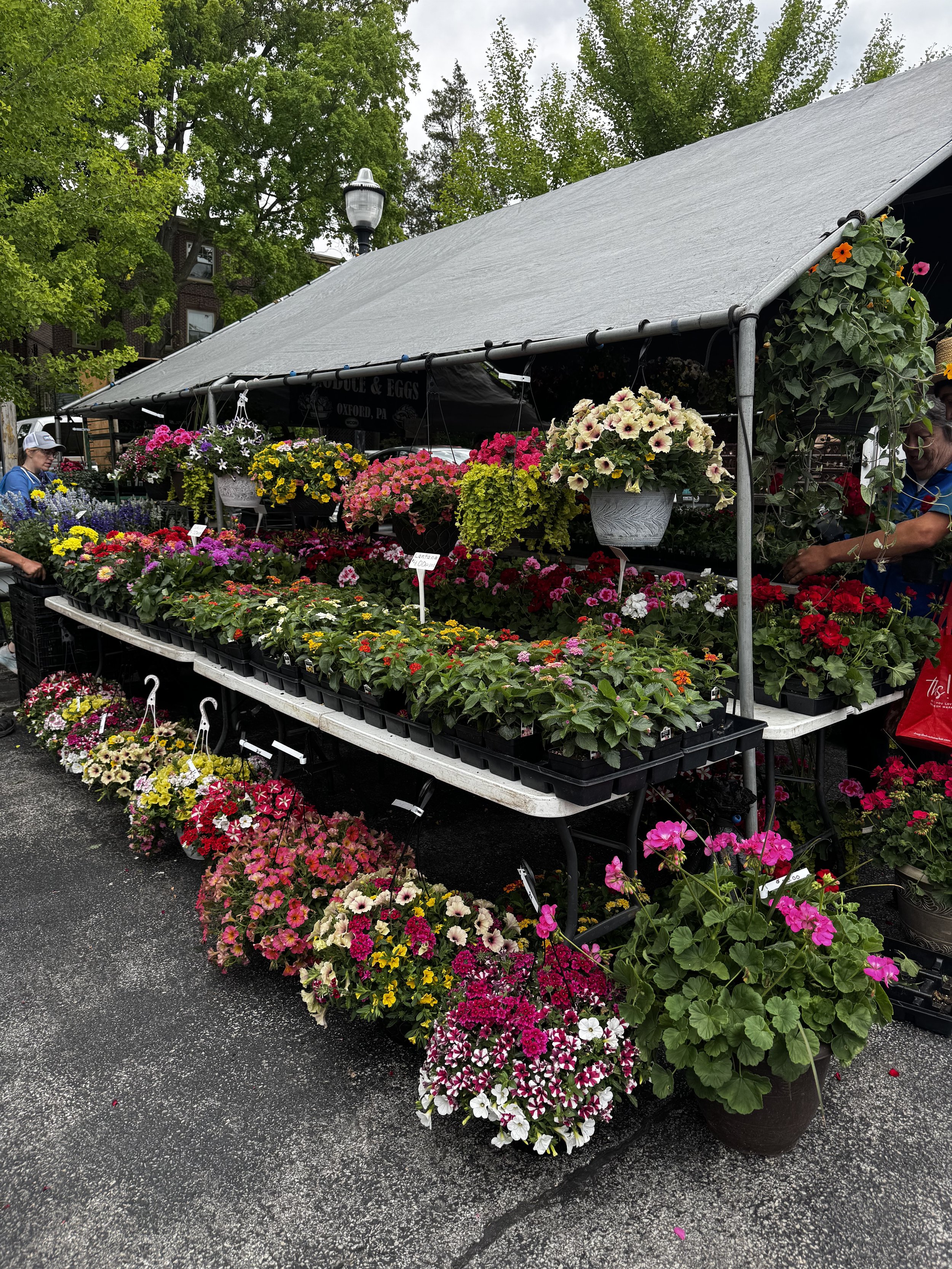 May West Chester Real Estate Market Update