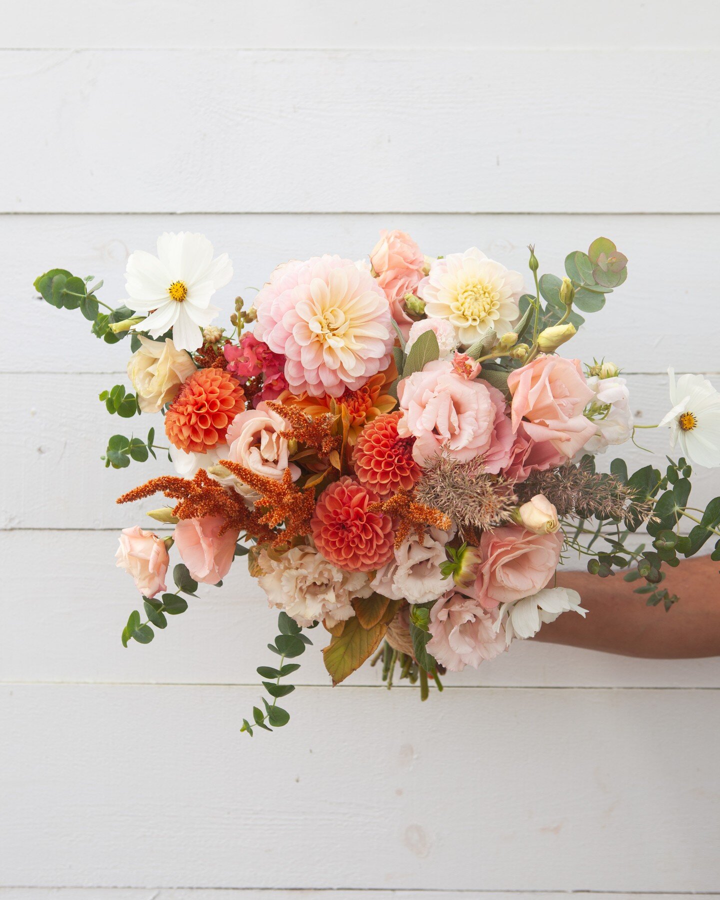 For Caroline + Ken. All grown from seed (or tuber) on our farm.

Image ID: wedding bouquet using soft pinks, rust, white and dusty green colours. Second image is attendant bouquet and third image is hands holding two boutonnieres with the same colour