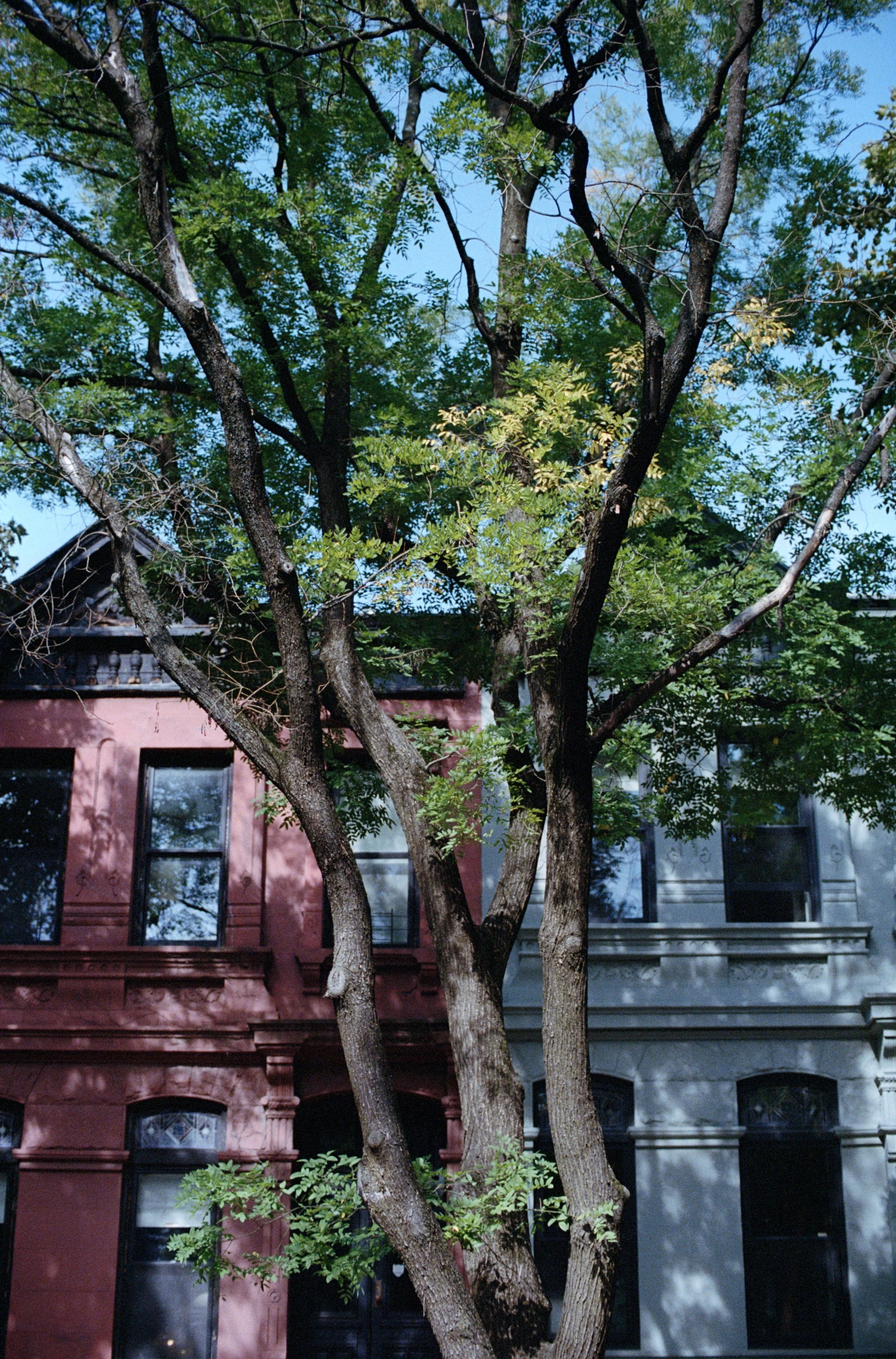 NCS-KC-R12-02_VSCO 2.JPG