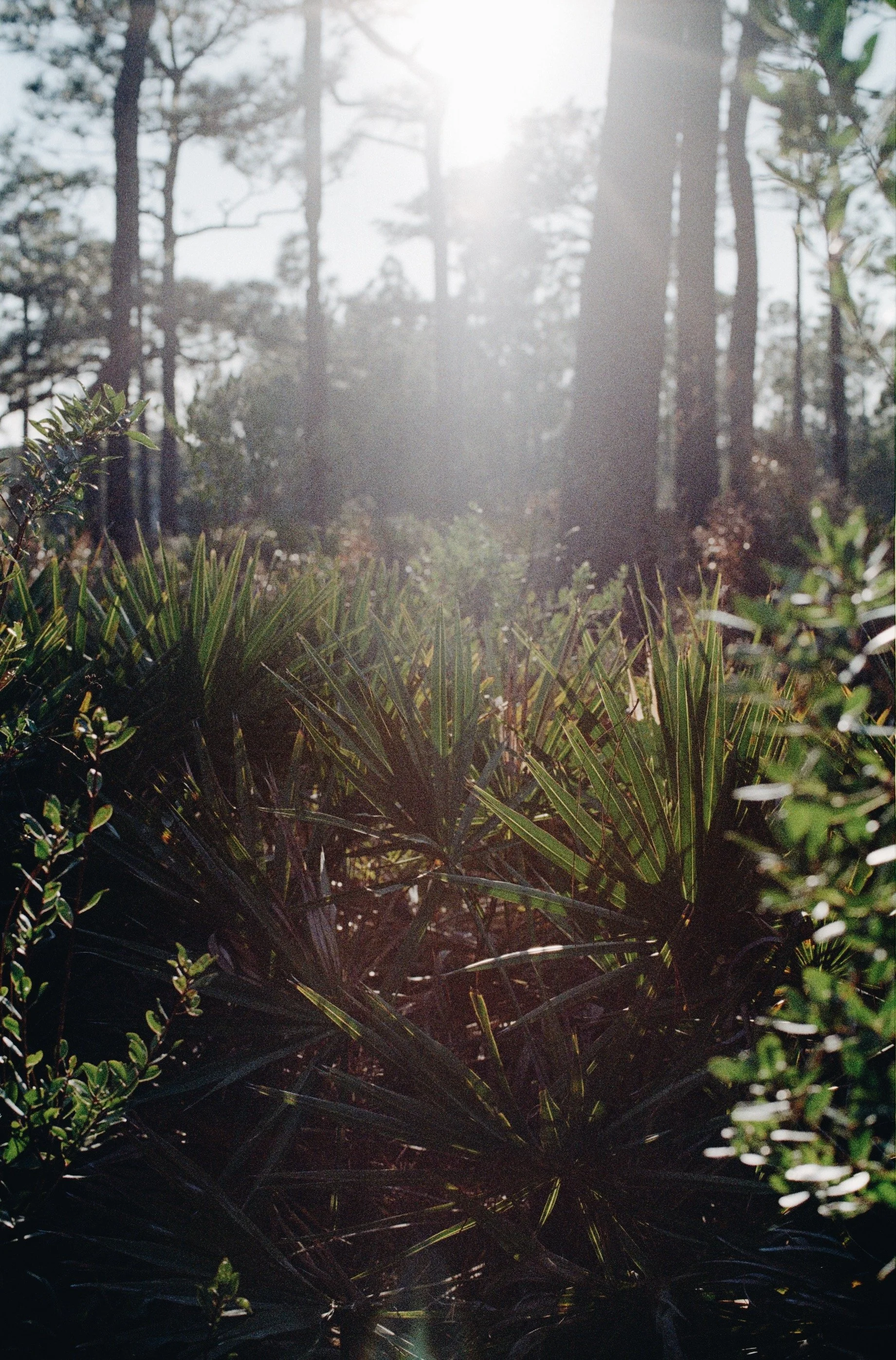 FullSizeRender_VSCO 3.JPG