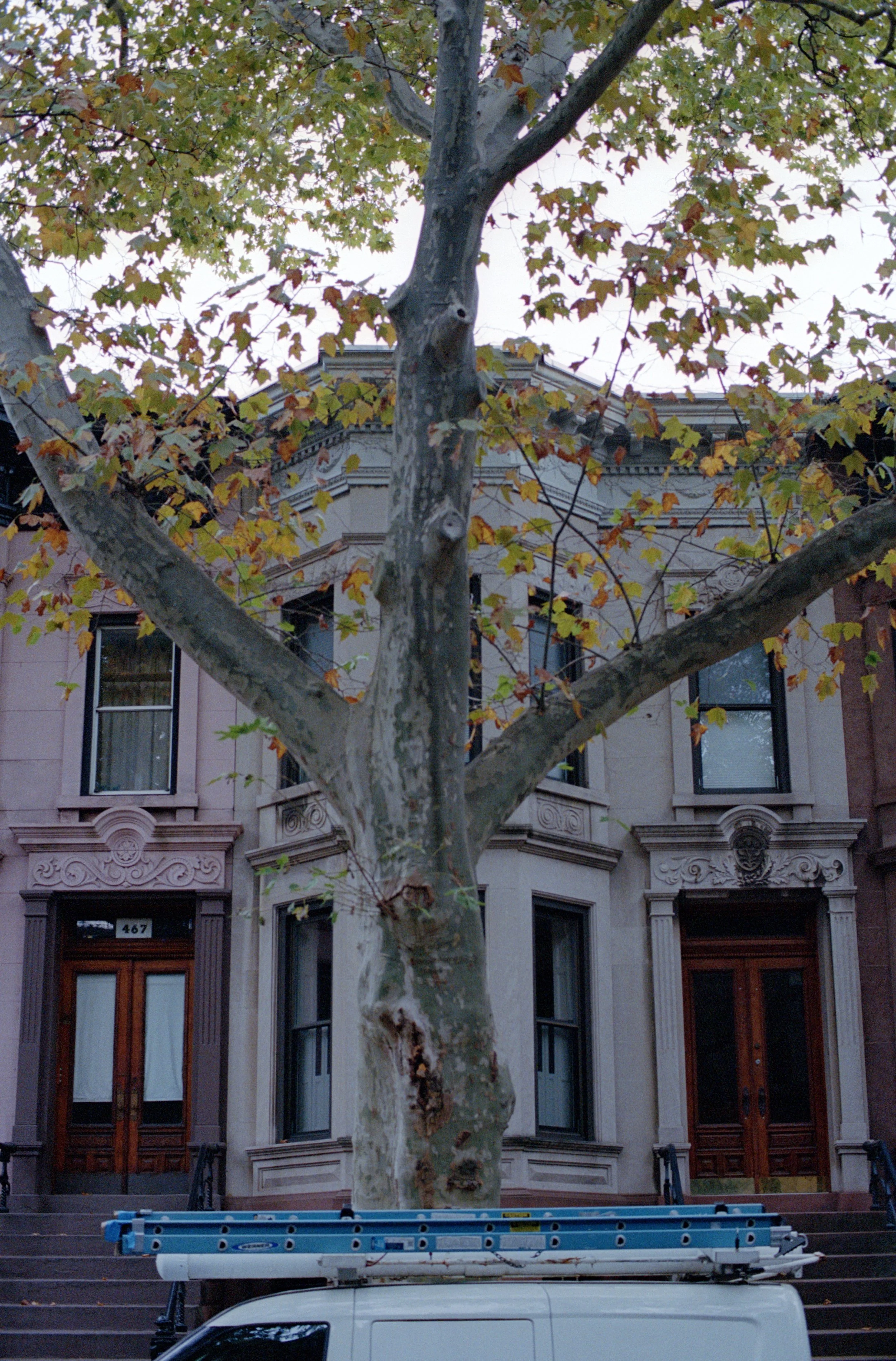 NCS-KC-R13-15_VSCO 2.JPG