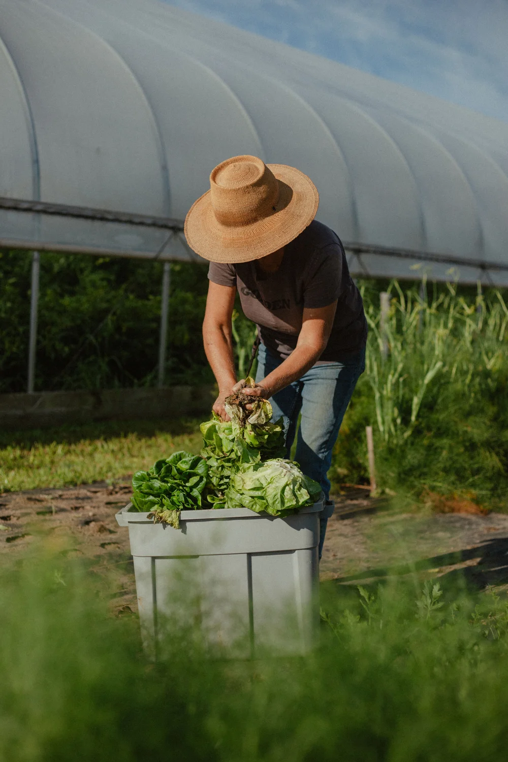 Cold Frame Farm — Home