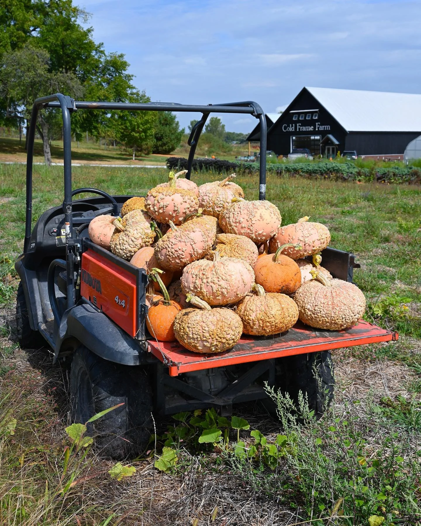 Happy Fall! 🍂🍁 It feels just right that we kicked off the season by harvesting the last of our pumpkins from the field. 🎃⁣
⁣
This year, we&rsquo;ve got pumpkins to suit all your fall needs! If you&rsquo;re looking for the perfect variety for bakin