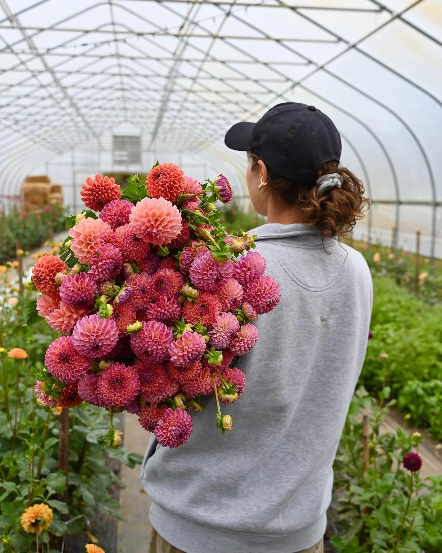 It&rsquo;s mid-October and the dahlias are showing no signs of stopping! We&rsquo;re soaking up the sunshine on these warm fall days and enjoying these blooms as much as possible! Make sure you swing by the farm this weekend&hellip; we&rsquo;ll have 