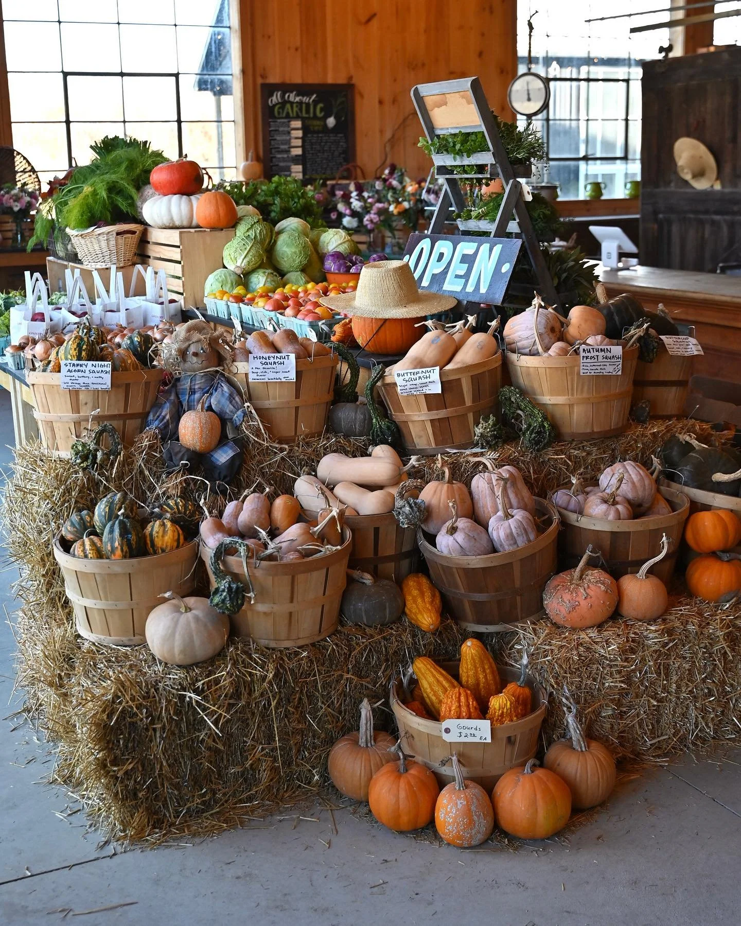 Recent snapshots from the farm store. Current favorite produce items we’re enjoying: cauliflower, celeriac, green cabbage, herbs, squash, squash, and more squash!😆
Also, we’re having a BIG SALE on all pumpkins!! Buy one, get one this