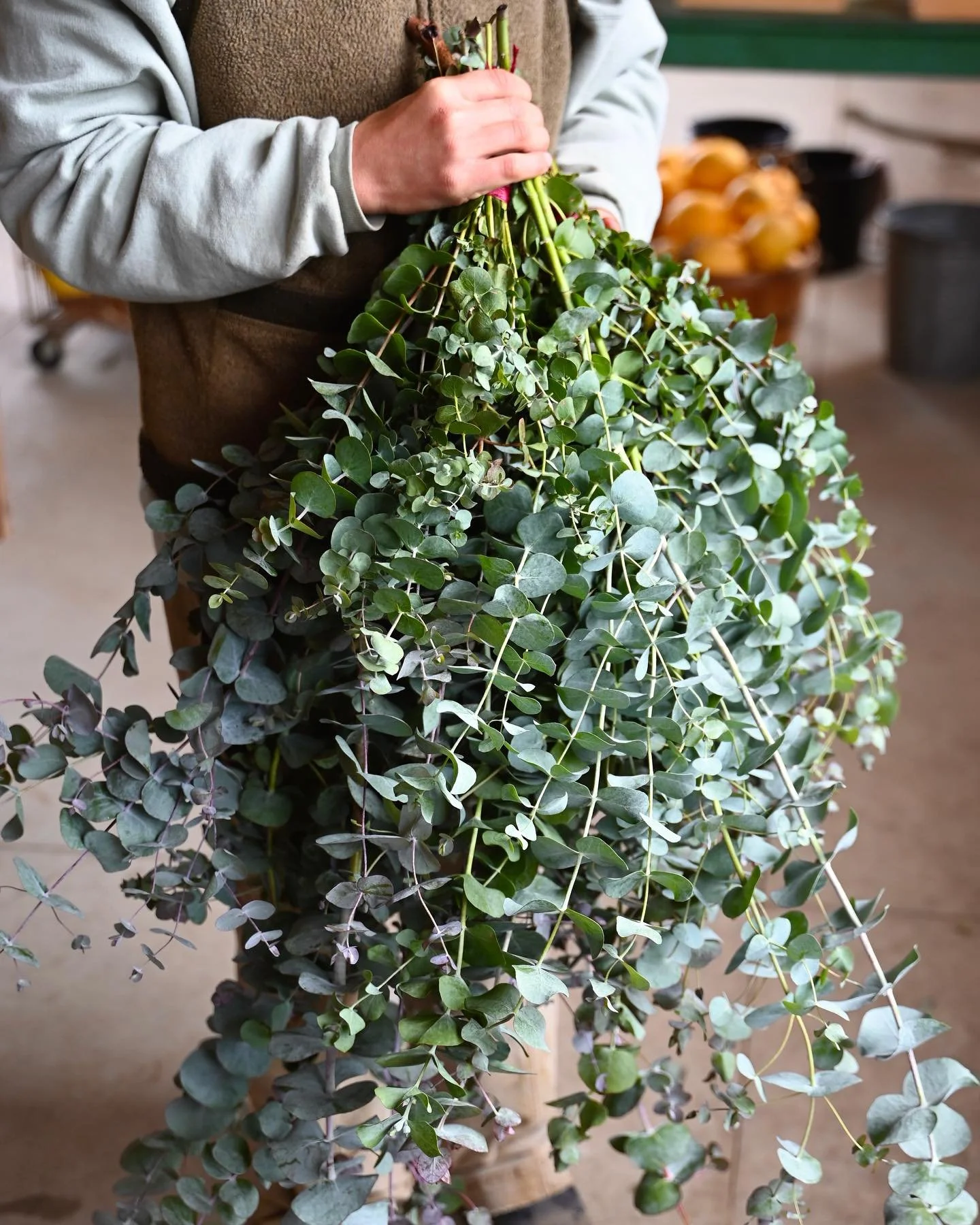 You asked&hellip; and they&rsquo;re finally here! Our organic eucalyptus shower steamers are ready! Grown right here on the farm, this eucalyptus is unbelievably fragrant and perfect for turning your daily shower into a spa experience. Hang a bunch i