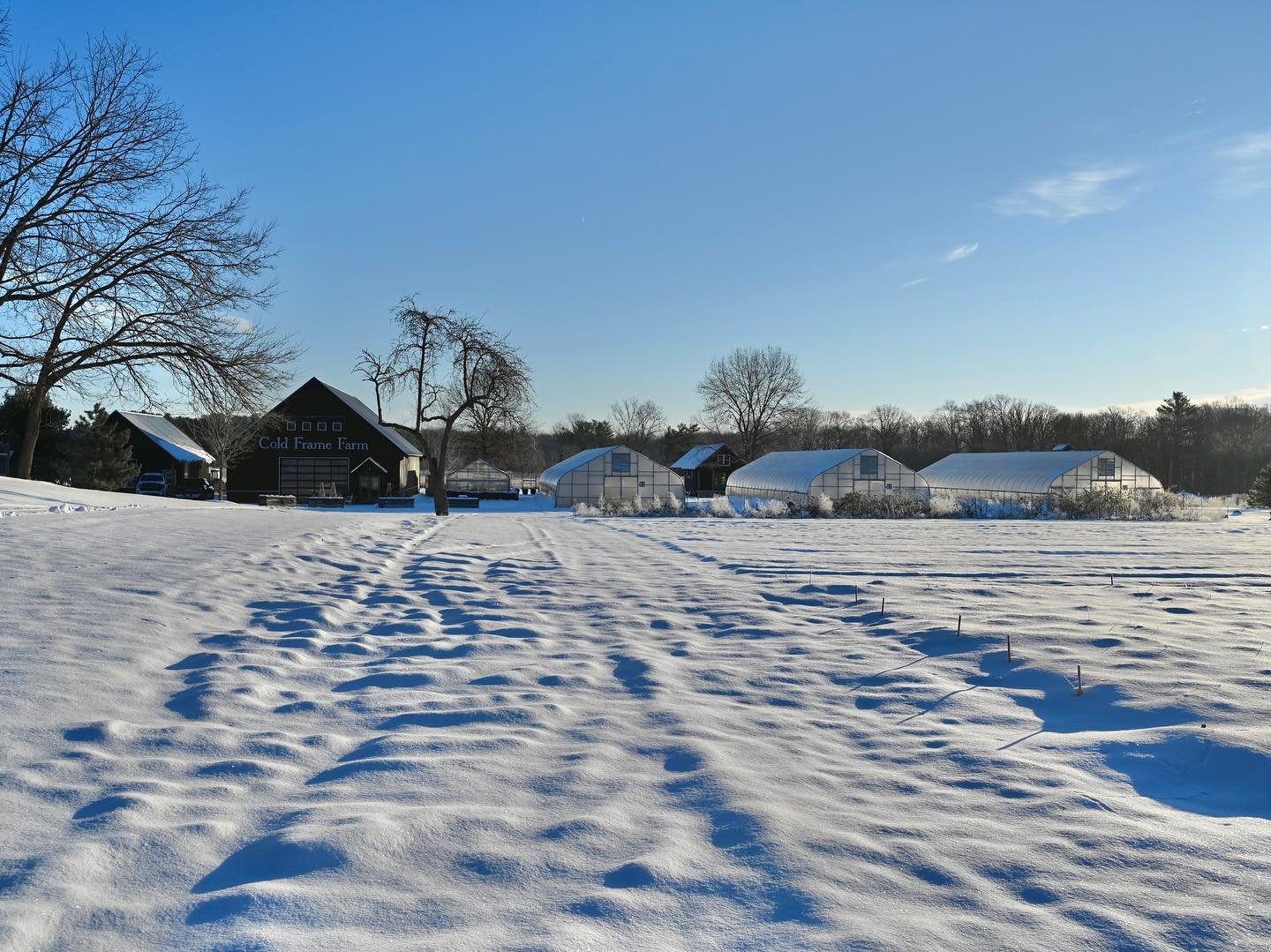 Despite the freezing temperatures, the farm sure looks beautiful right now. It&rsquo;s a real winter wonderland!☃️❄️⁣
⁣
Don&rsquo;t forget&hellip; TOMORROW IS OUR LAST DAY OF THE SEASON! We&rsquo;ll be open 10am - 3pm.⁣
⁣
Looks like it&rsquo;s going 