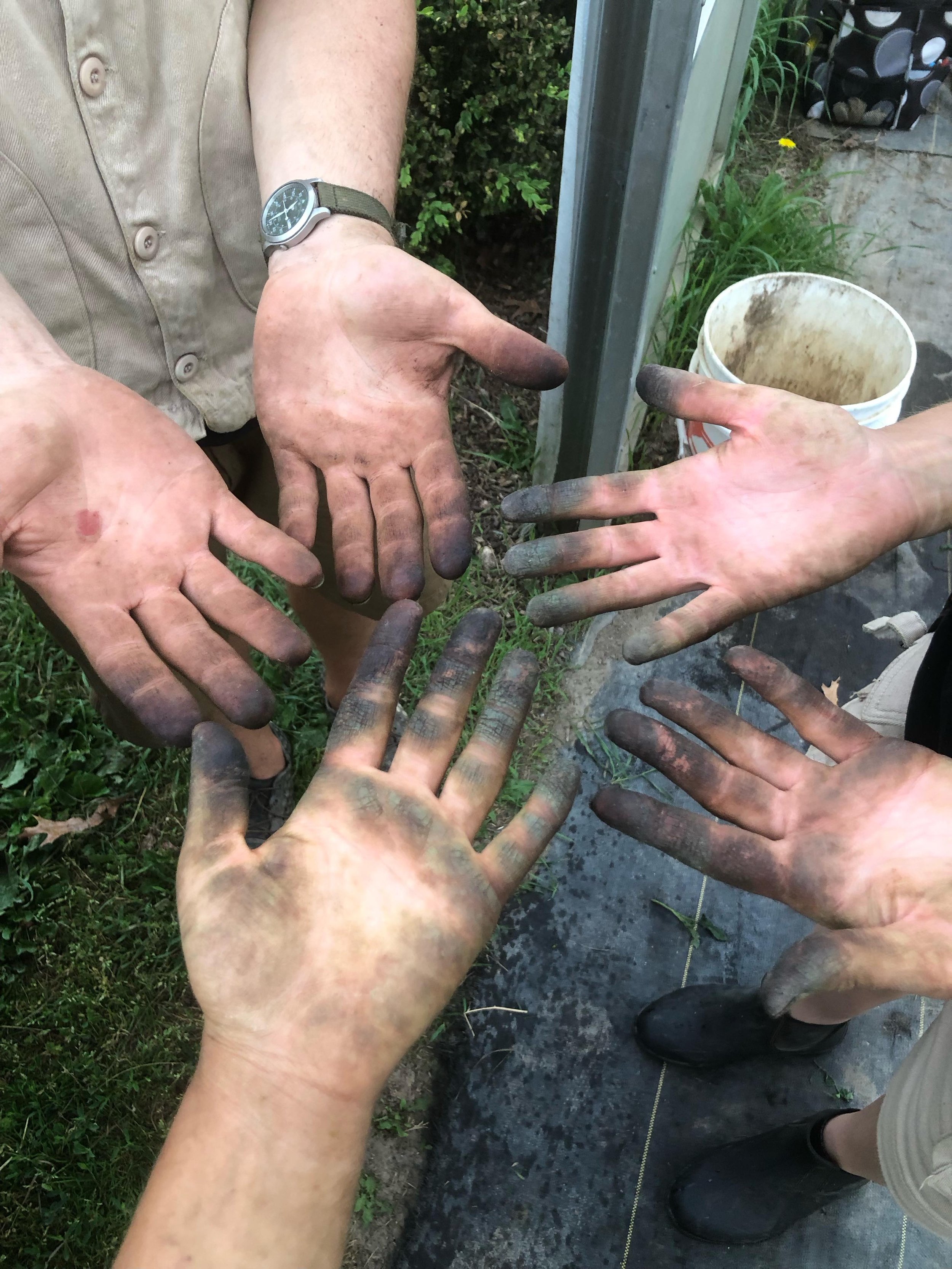 The crew was hard at work today planting and pruning a handful of crops! ⁣
⁣
Fun fact: when pruning tomatoes, the plants will leave your hands with a brownish-yellow/green residue often referred to as &ldquo;tomato tar&rdquo;. This is a naturally occ