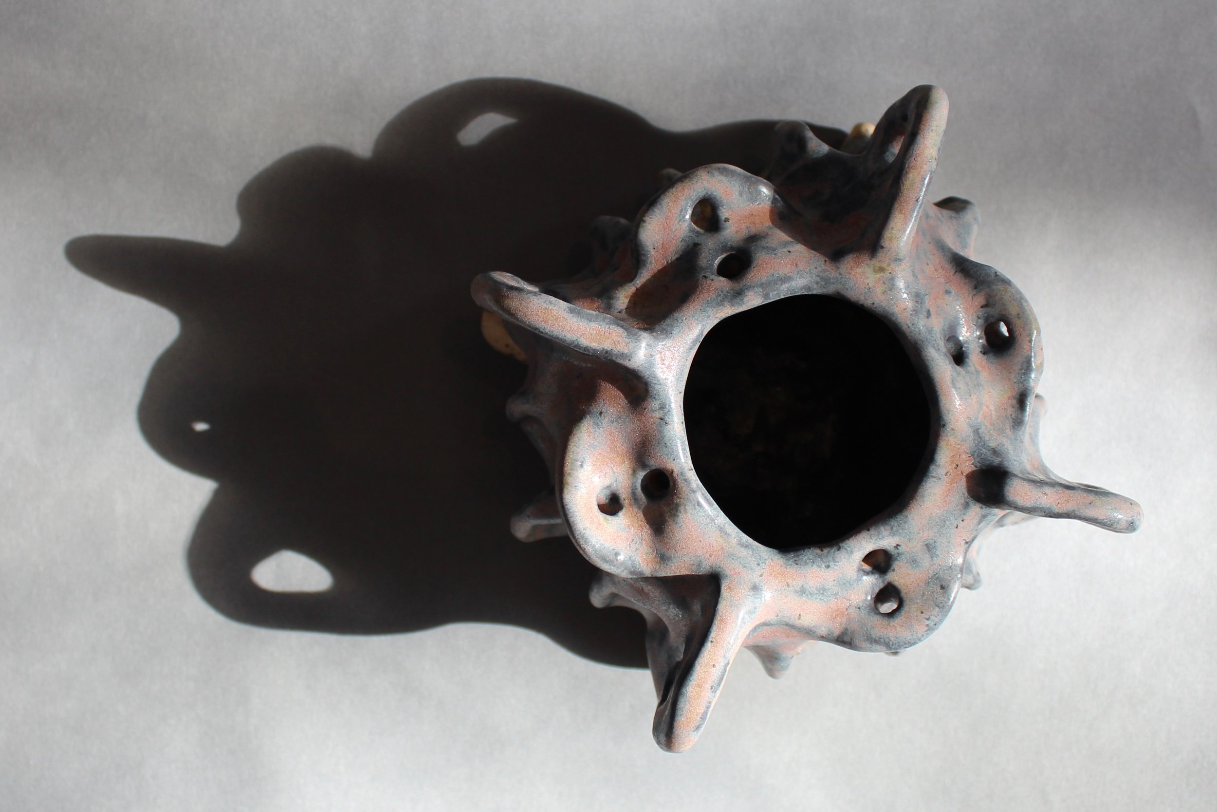 Bone Vessel II_above.jpg