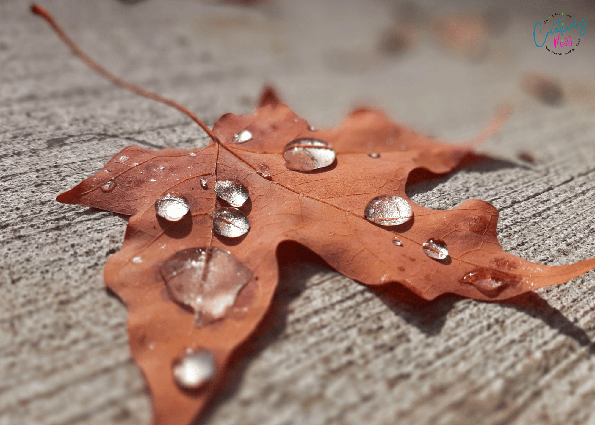 Autumn-leaf-with-raindrops-on-the-sidewalk