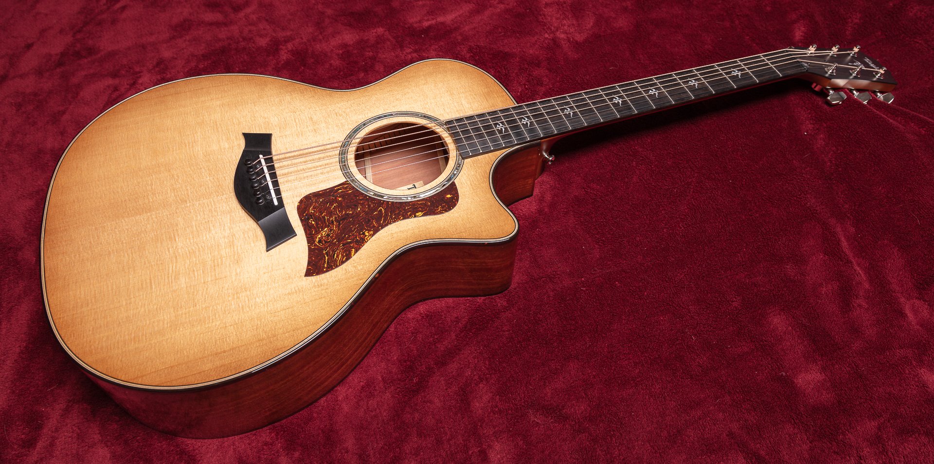 Review : Taylor 512ce and Taylor 514ce — That Guitar Lover