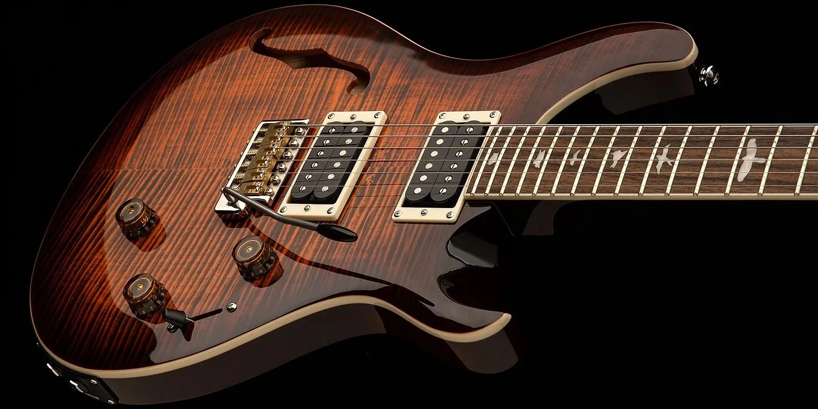 ⭐︎ほぼ未使用⭐︎ PRS SE custom Review : PRS SE Custom 24 with 