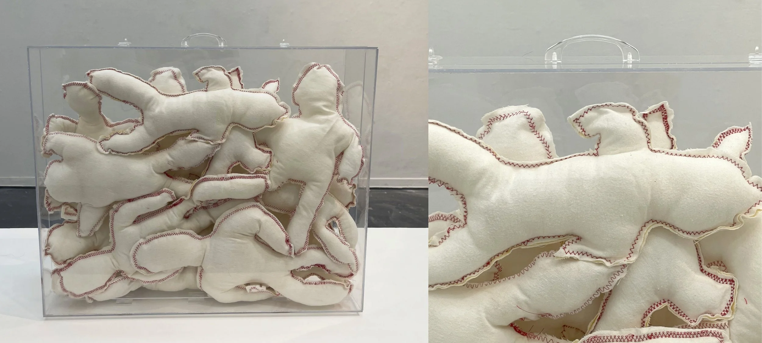 Untitled (2025),  Soft Sculpture & Participatory Installation 

A transparent suitcase is tightly filled with hand-sewn, body-shaped dolls made from reclaimed fabric with red-stitched seams. Their anonymous forms evoke tenderness, playfulness, and no