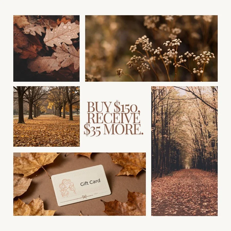🍂 A Little Something Extra This Season 🍂

This fall, give the gift of an experience to look forward to.

From October 1 through December 24, purchase a $150 gift card and receive an additional $35 gift card, complimentary.

A thoughtful gift for so