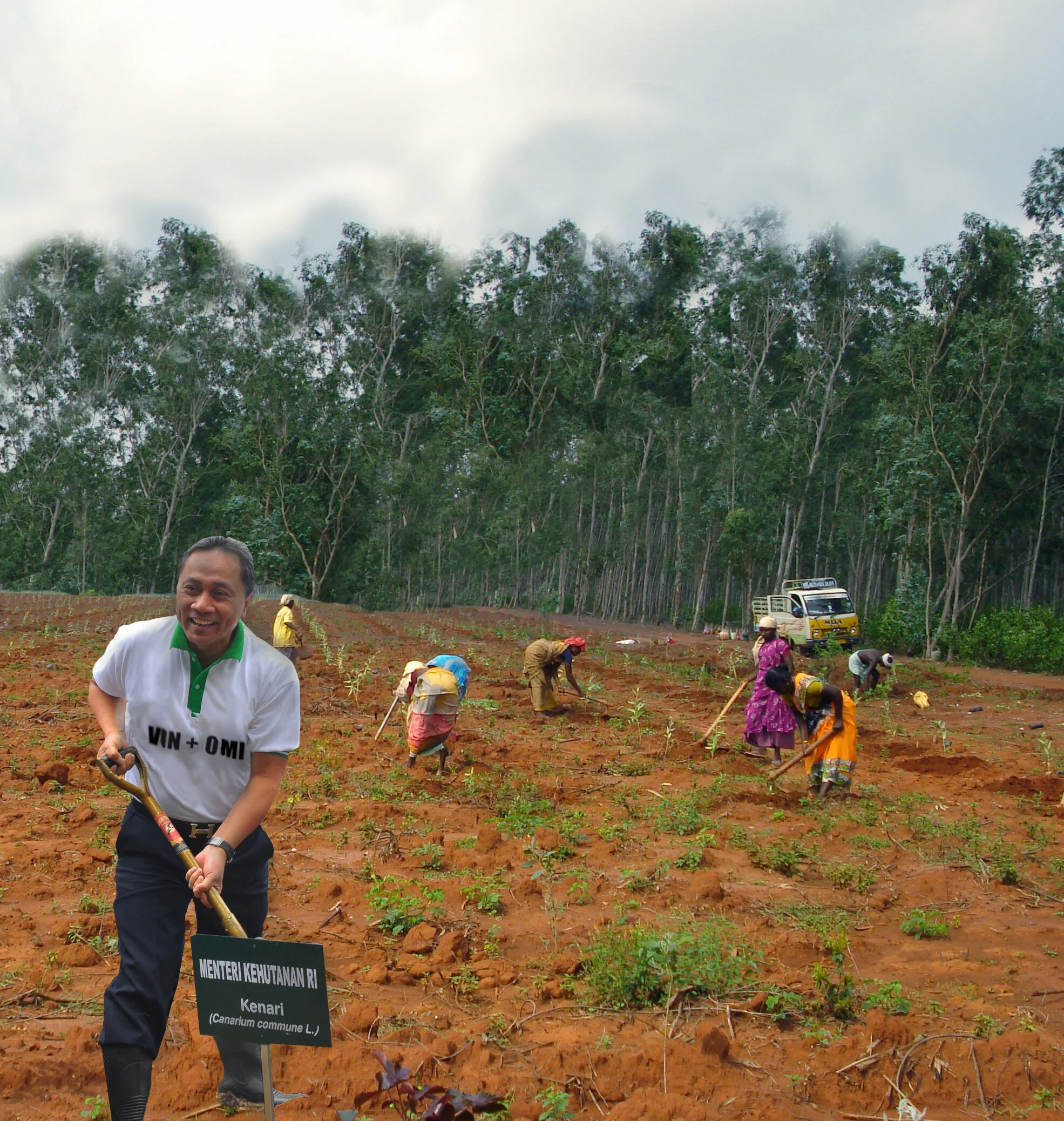 tree planting 3 .jpg