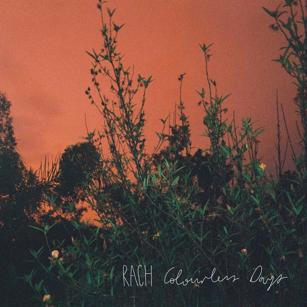  RACH 
  Colourless Days EP (2026) 
 Producer / Engineer / Mixing / Performance