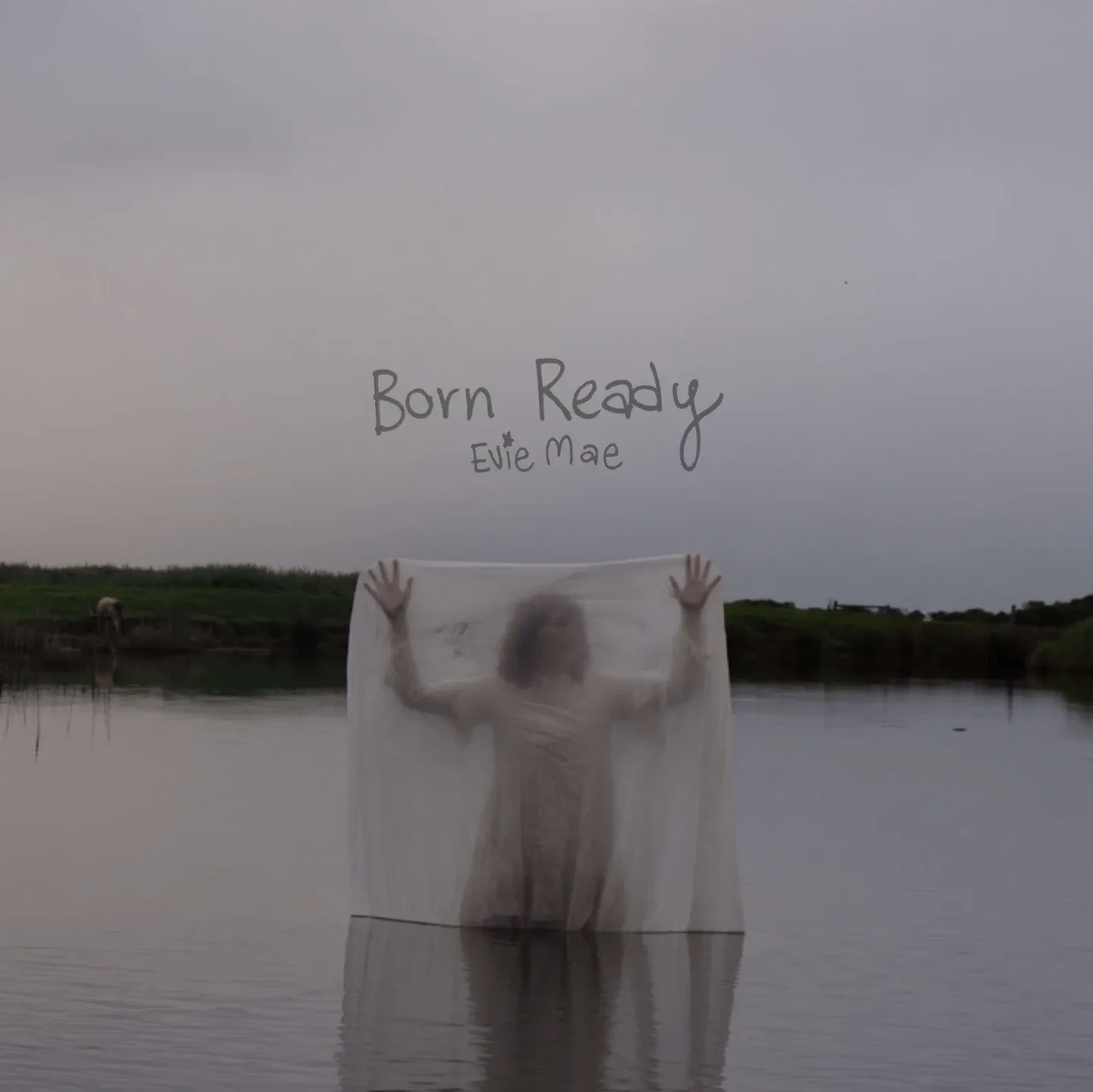  Evie Mae 
  Born Ready (2025) 
 Producer / Engineer / Mixing / Performance