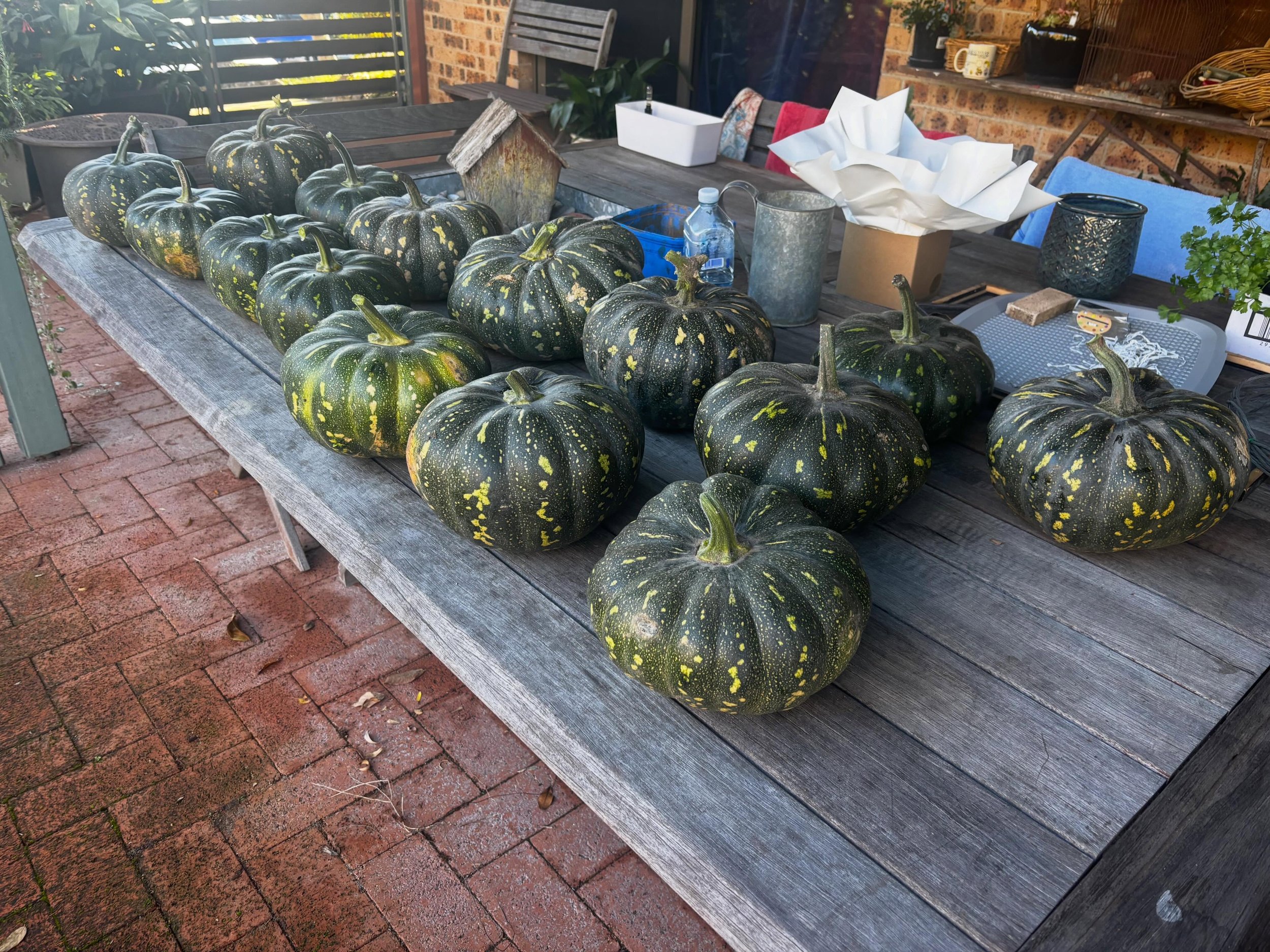 The last of our summer harvest👍