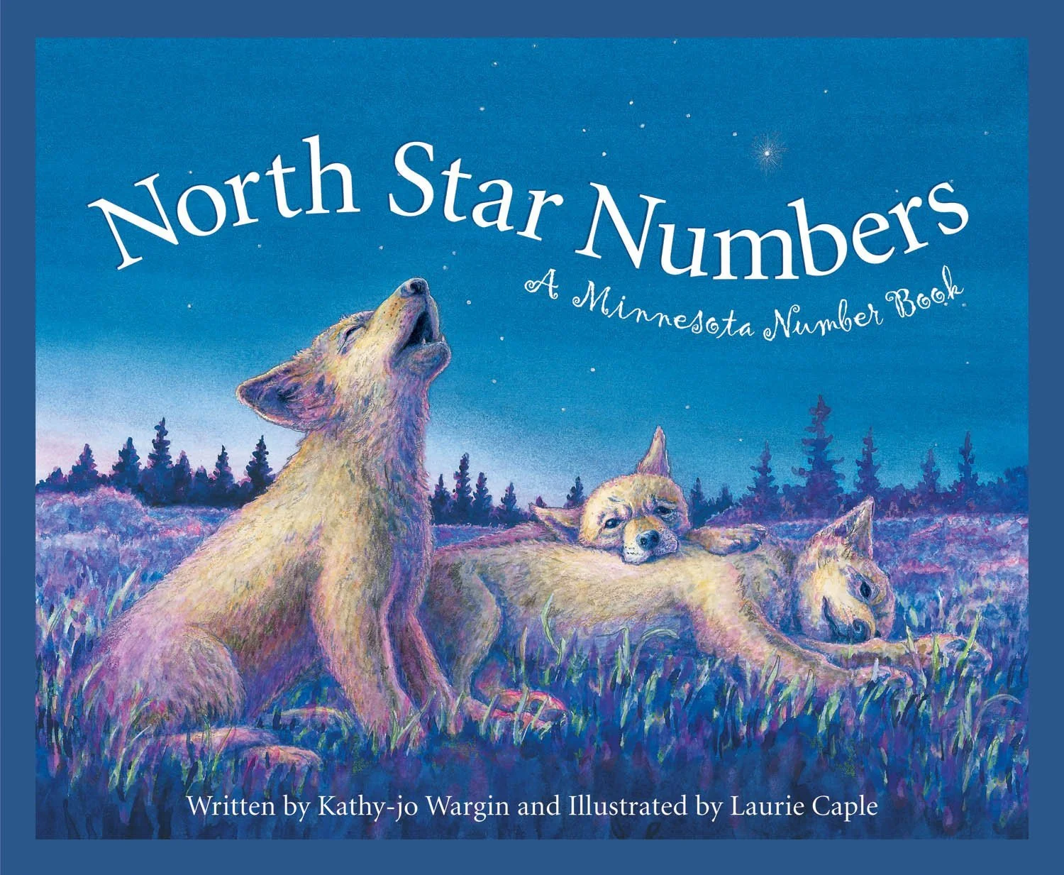 Kathy-jo Wargin_North Star Numbers.jpg